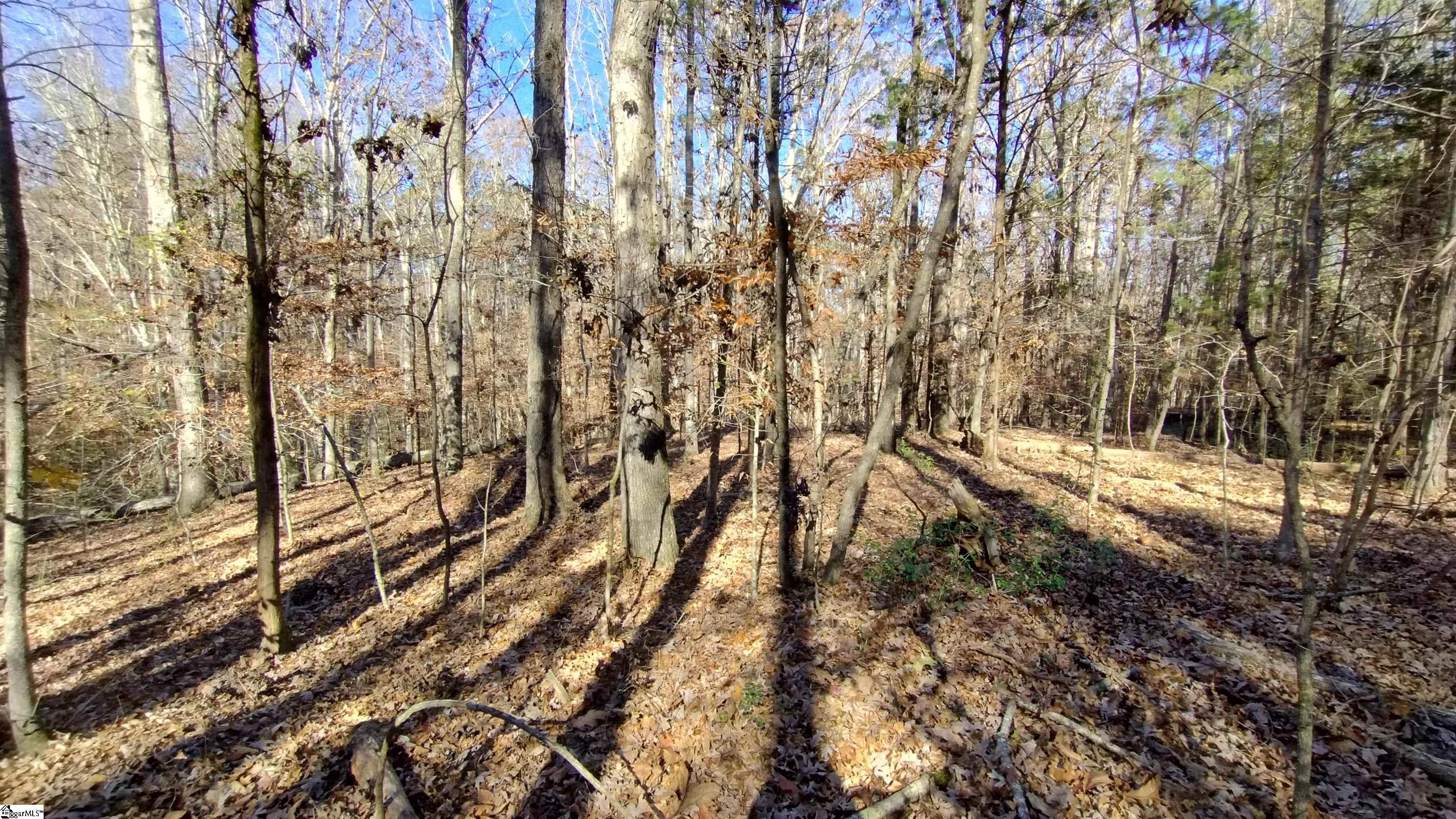 00A Sullivan Road Laurens, SC 29360-8315