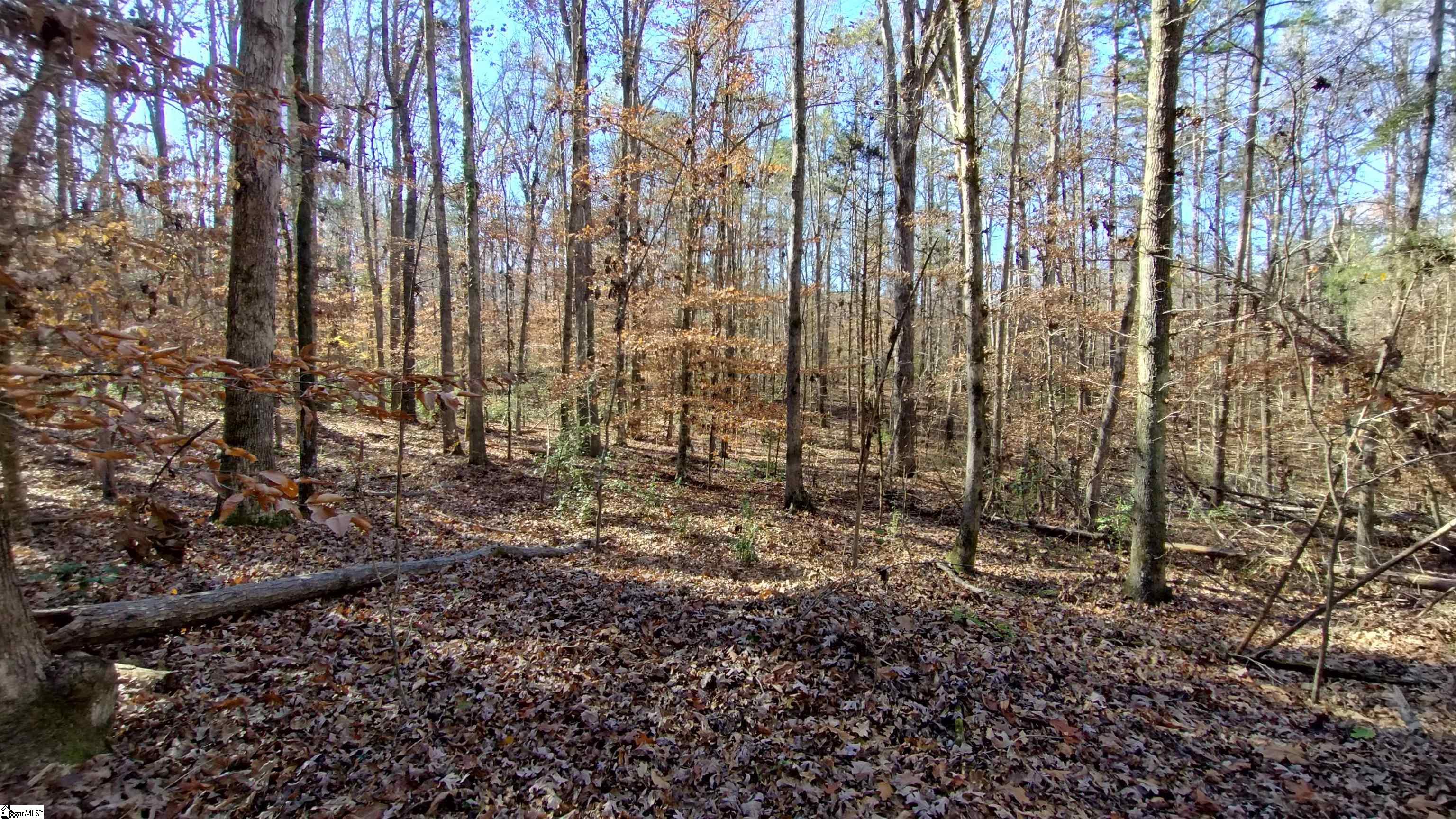 00A Sullivan Road Laurens, SC 29360-8315