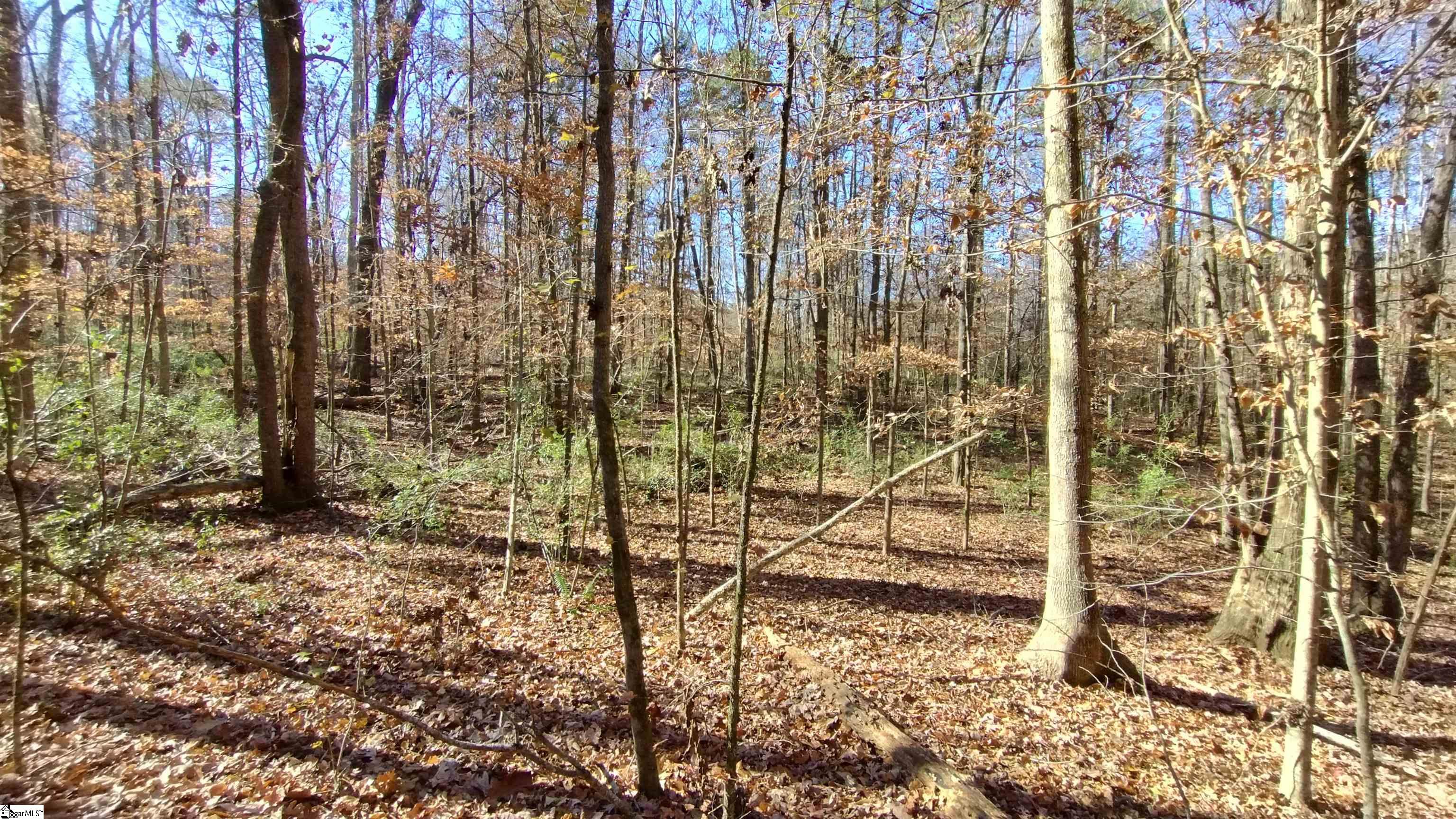 00A Sullivan Road Laurens, SC 29360-8315