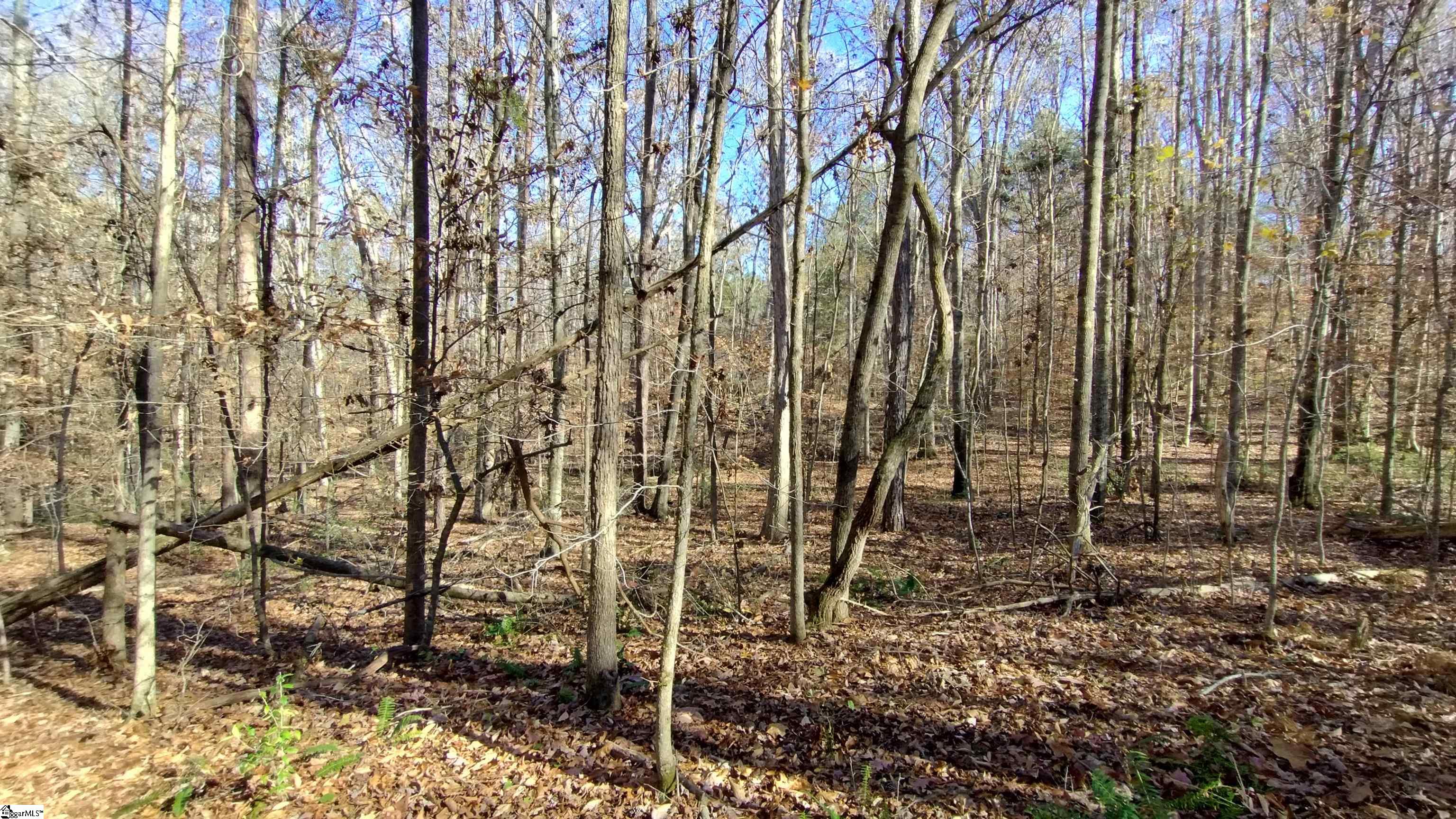 00A Sullivan Road Laurens, SC 29360-8315