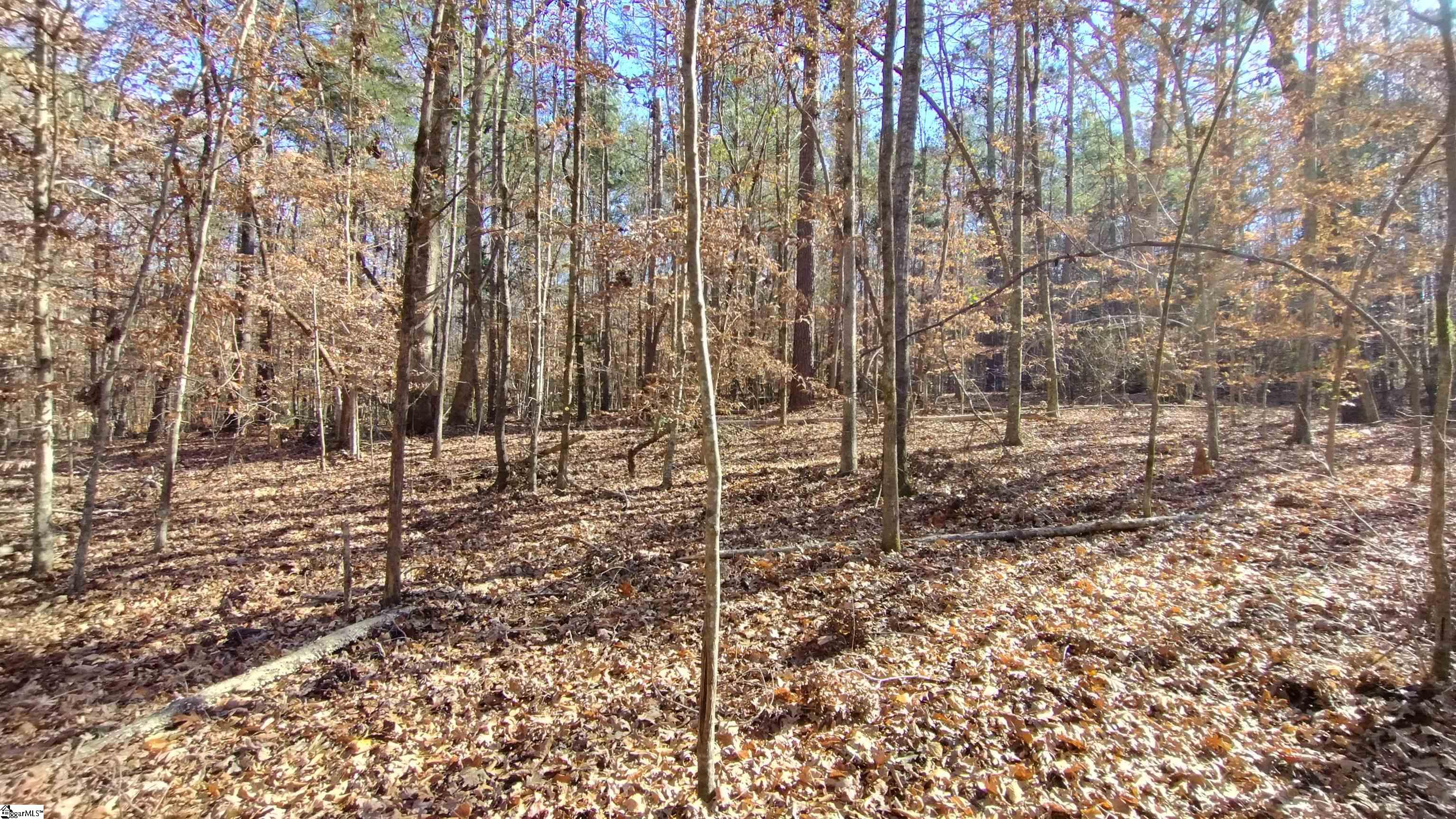 00A Sullivan Road Laurens, SC 29360-8315
