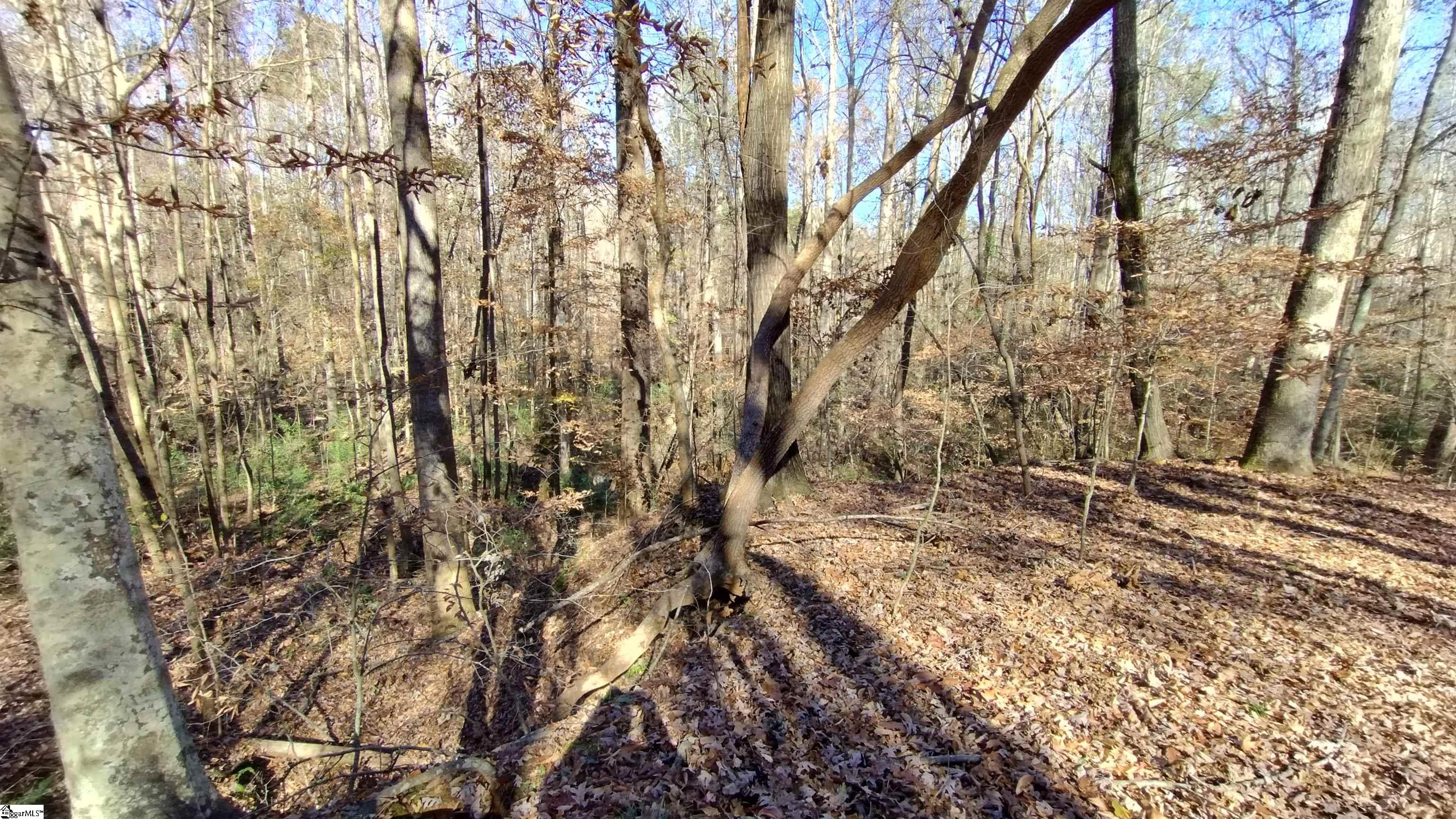 00A Sullivan Road Laurens, SC 29360-8315