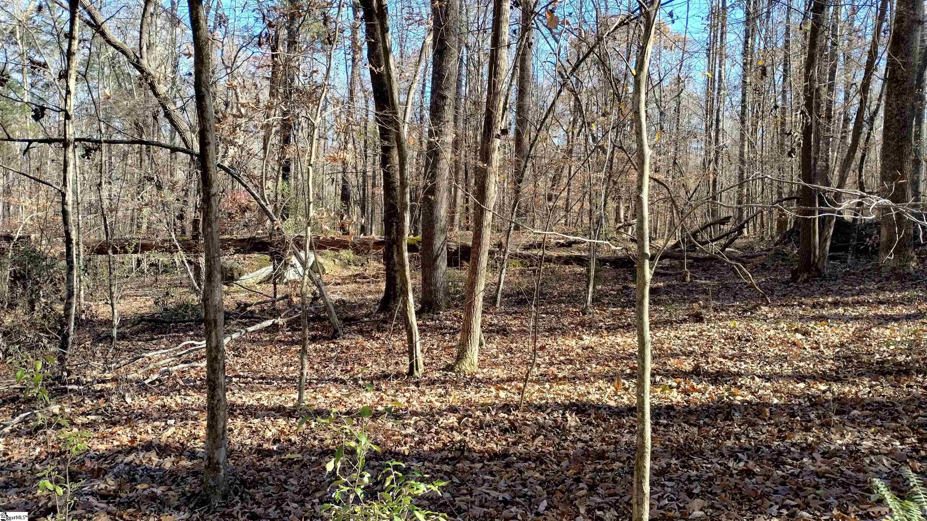 00B Sullivan Road Laurens, SC 29360-8315