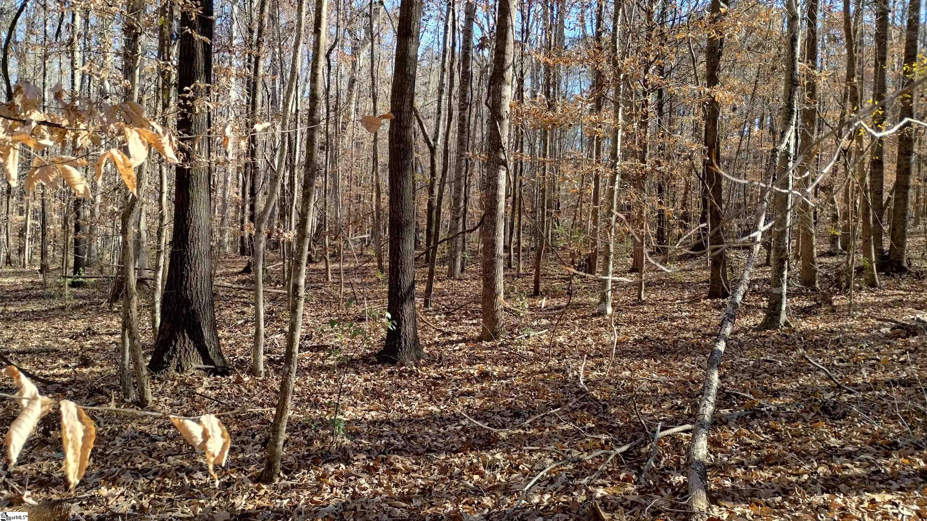 00B Sullivan Road Laurens, SC 29360-8315