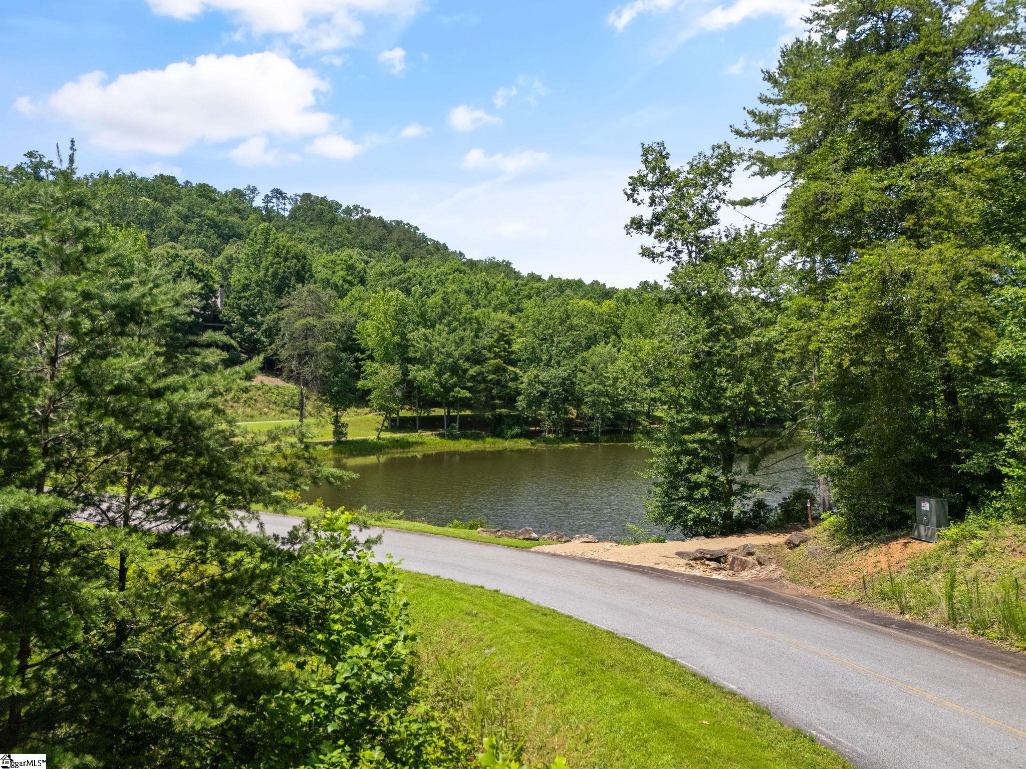 601 Tree Haven Trail Marietta, SC 29661