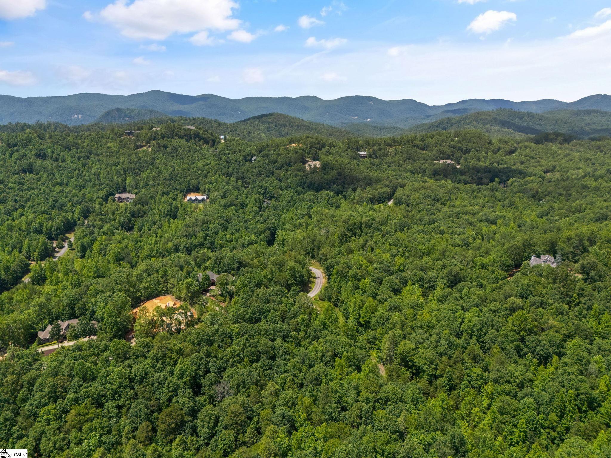 601 Tree Haven Trail Marietta, SC 29661
