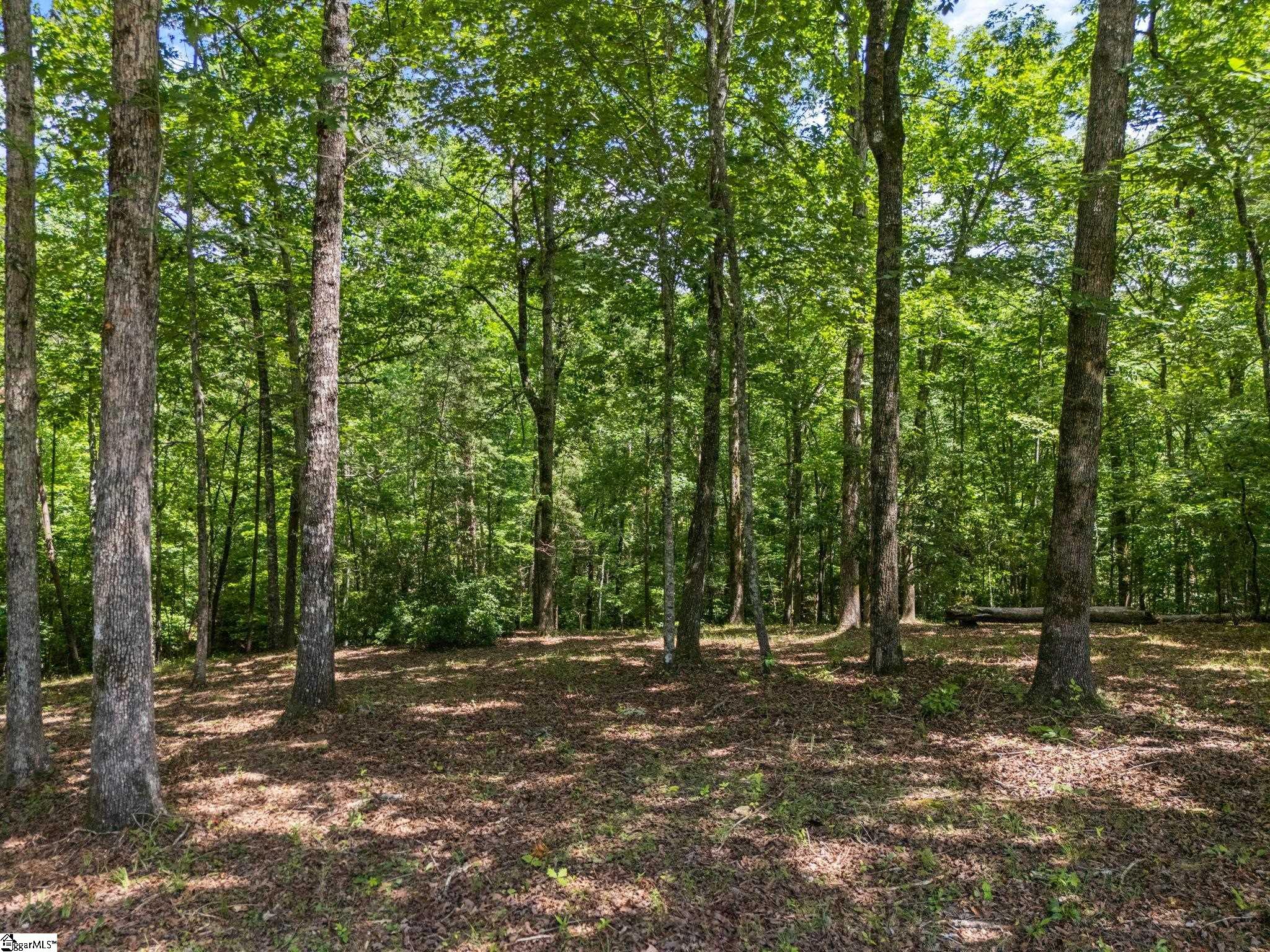601 Tree Haven Trail Marietta, SC 29661