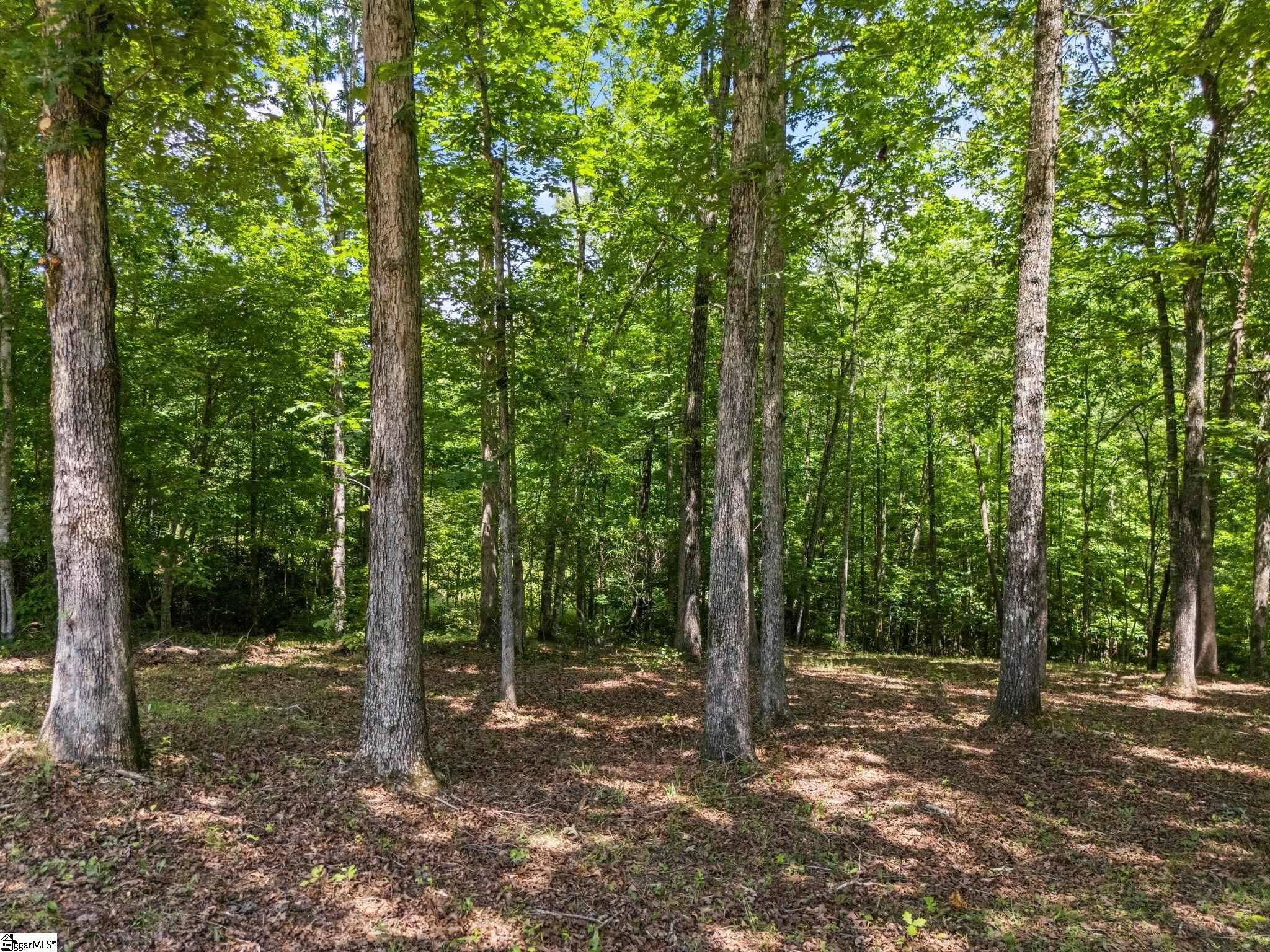 601 Tree Haven Trail Marietta, SC 29661