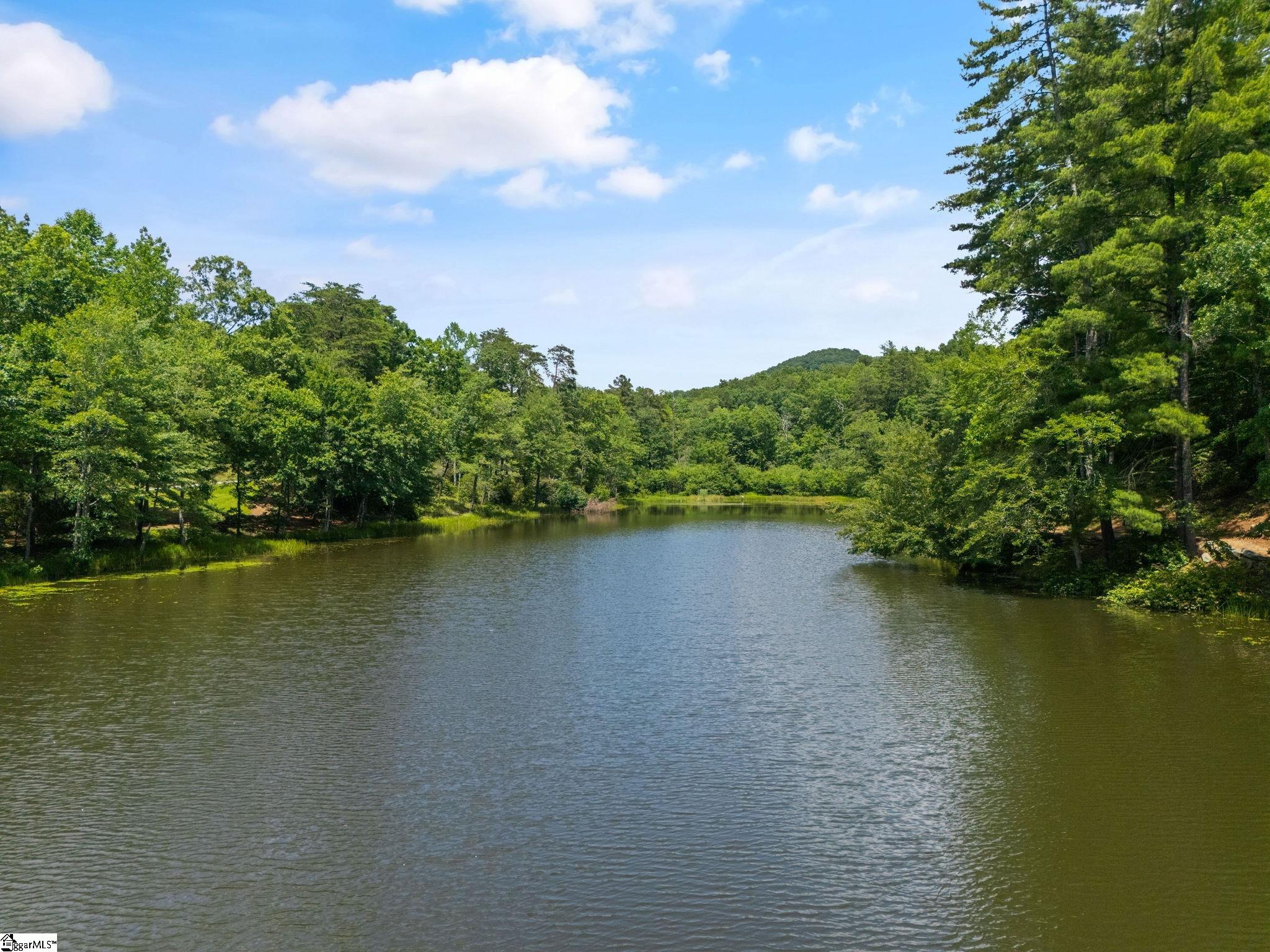 601 Tree Haven Trail Marietta, SC 29661