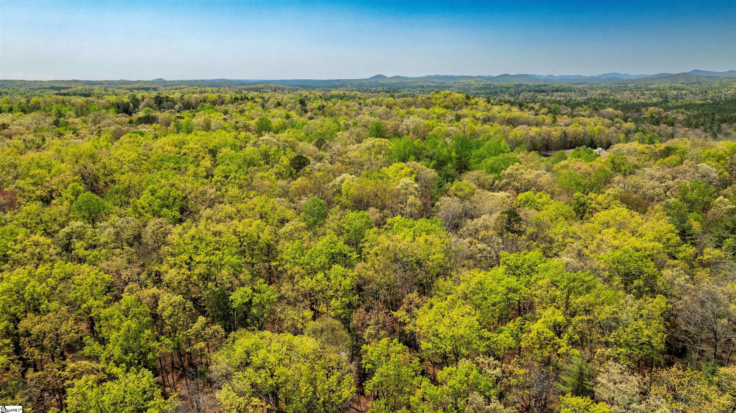 00 Old Turnpike Road Mountain Rest, SC 29664