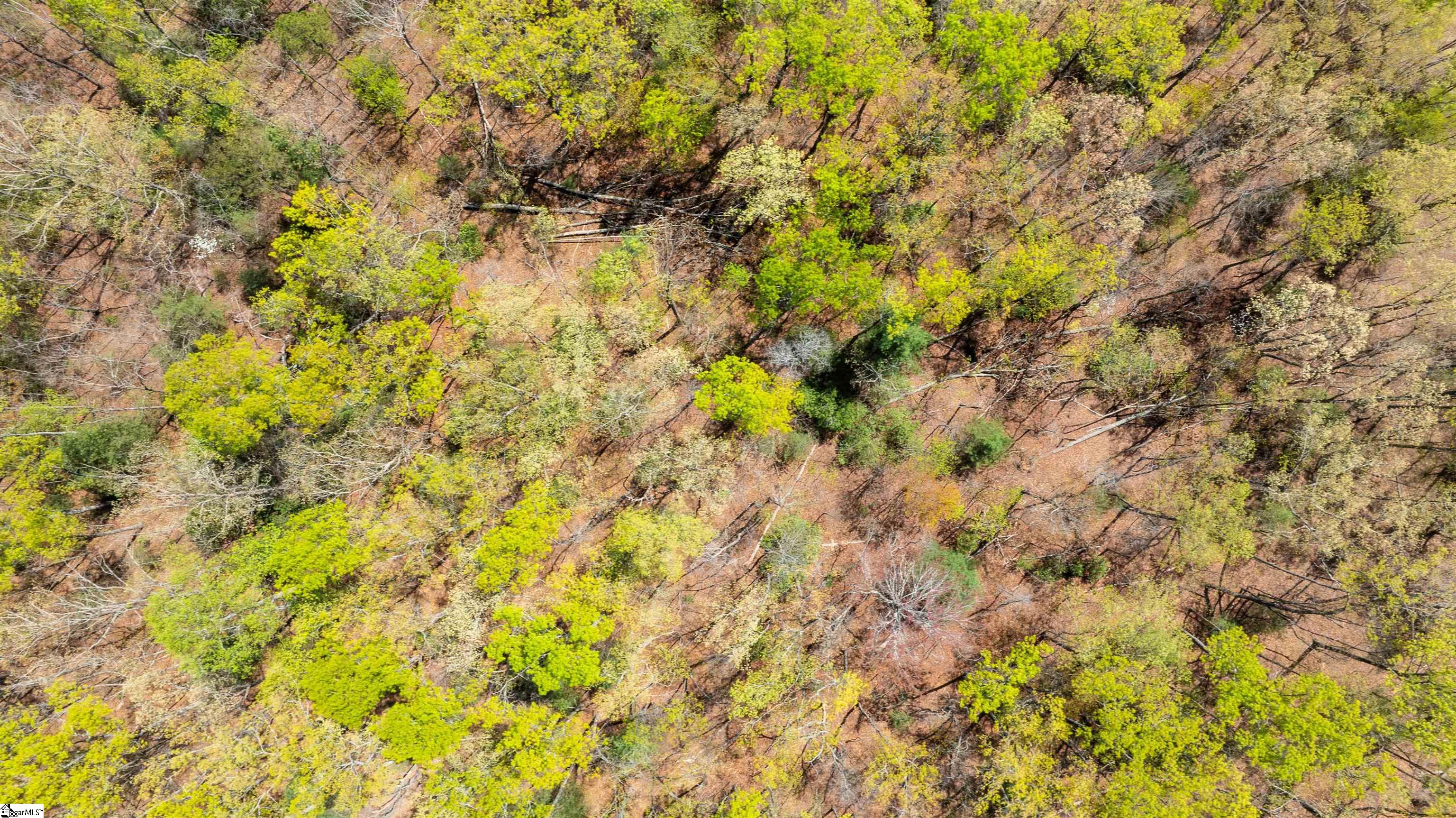 00 Old Turnpike Road Mountain Rest, SC 29664
