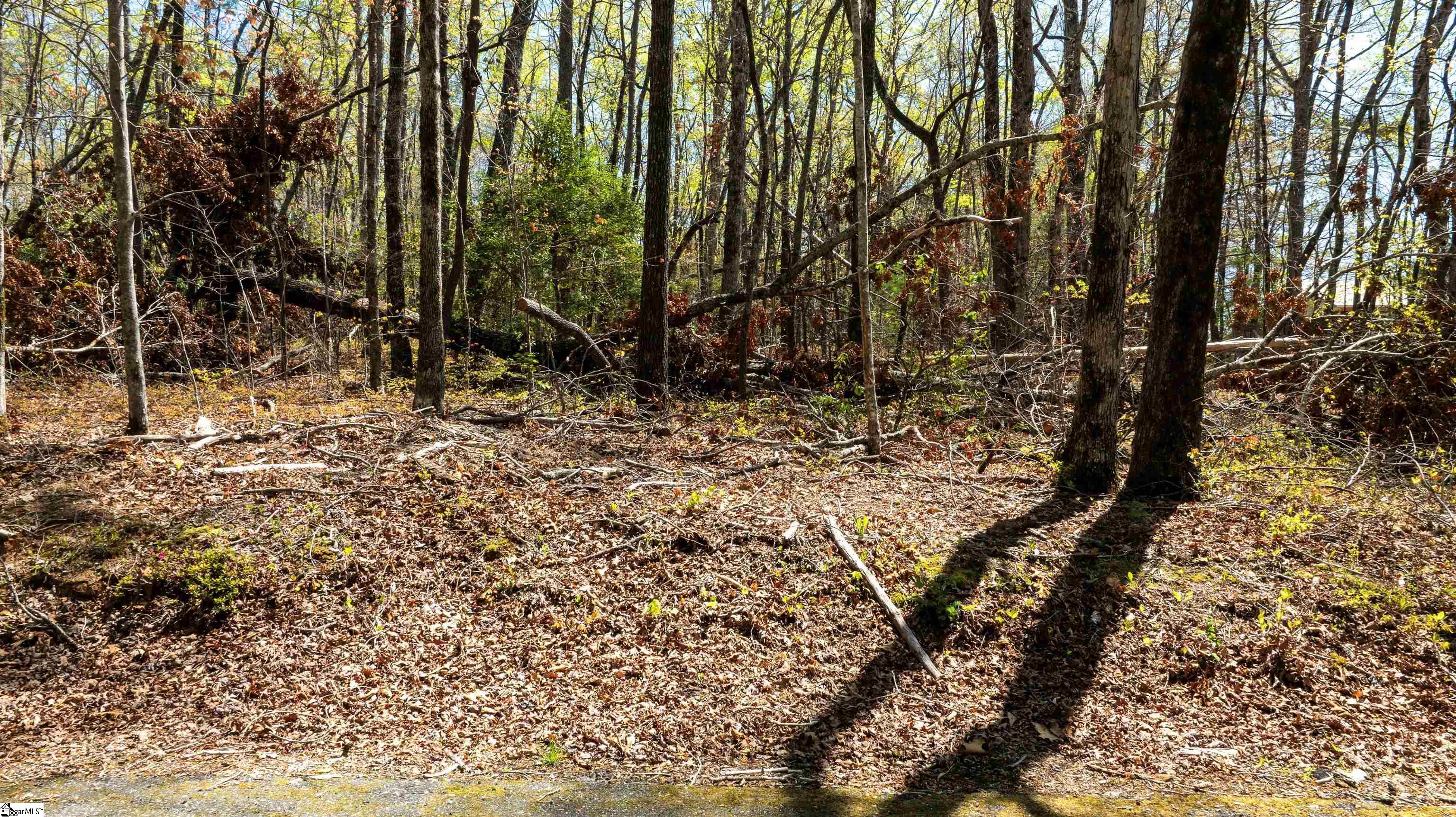 00 Old Turnpike Road Mountain Rest, SC 29664