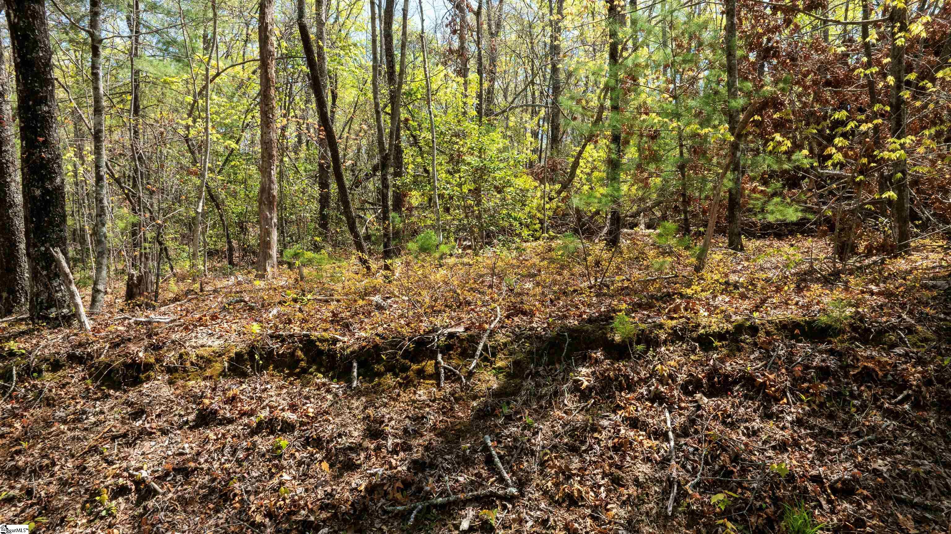 00 Old Turnpike Road Mountain Rest, SC 29664