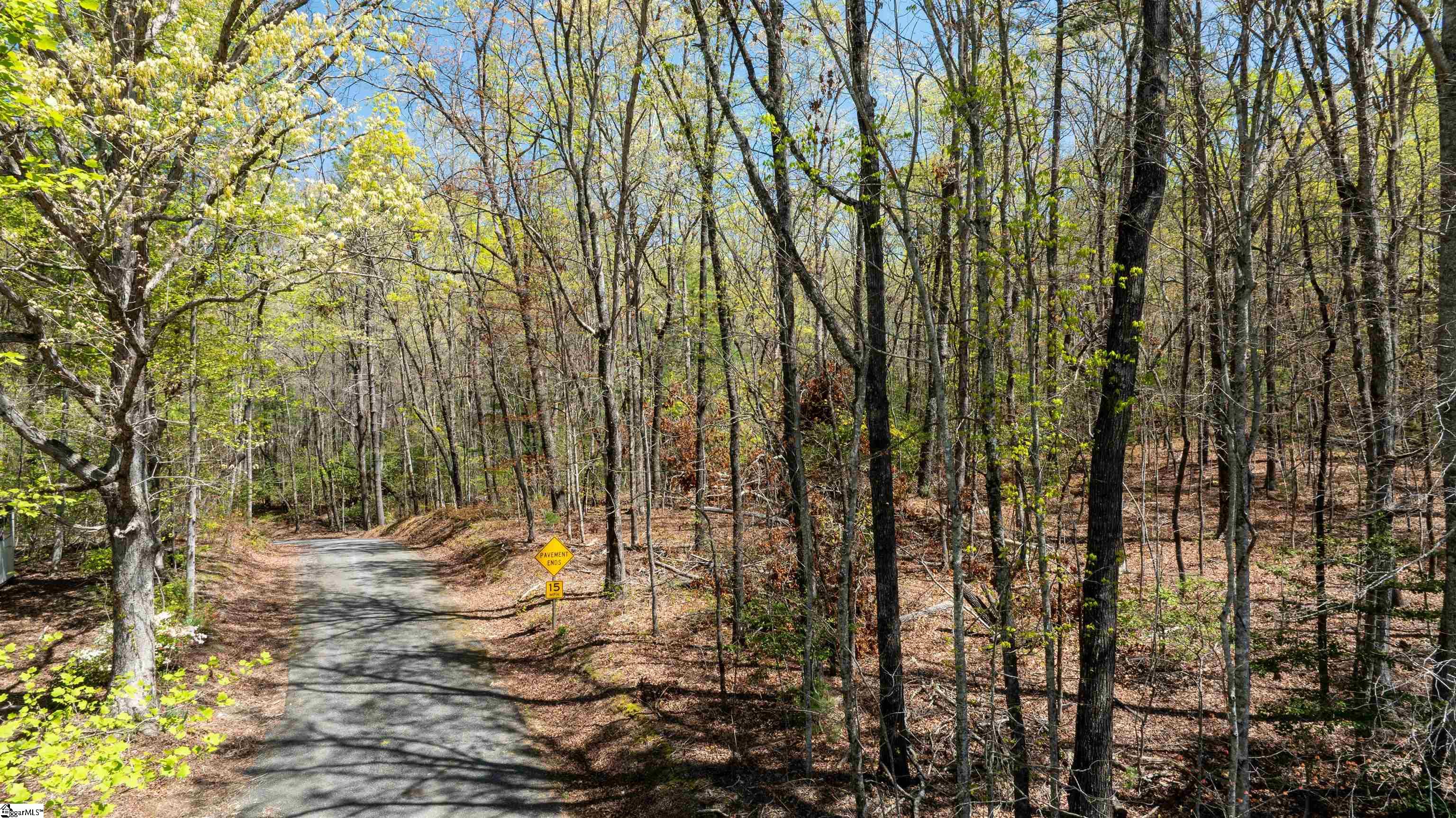 00 Old Turnpike Road Mountain Rest, SC 29664