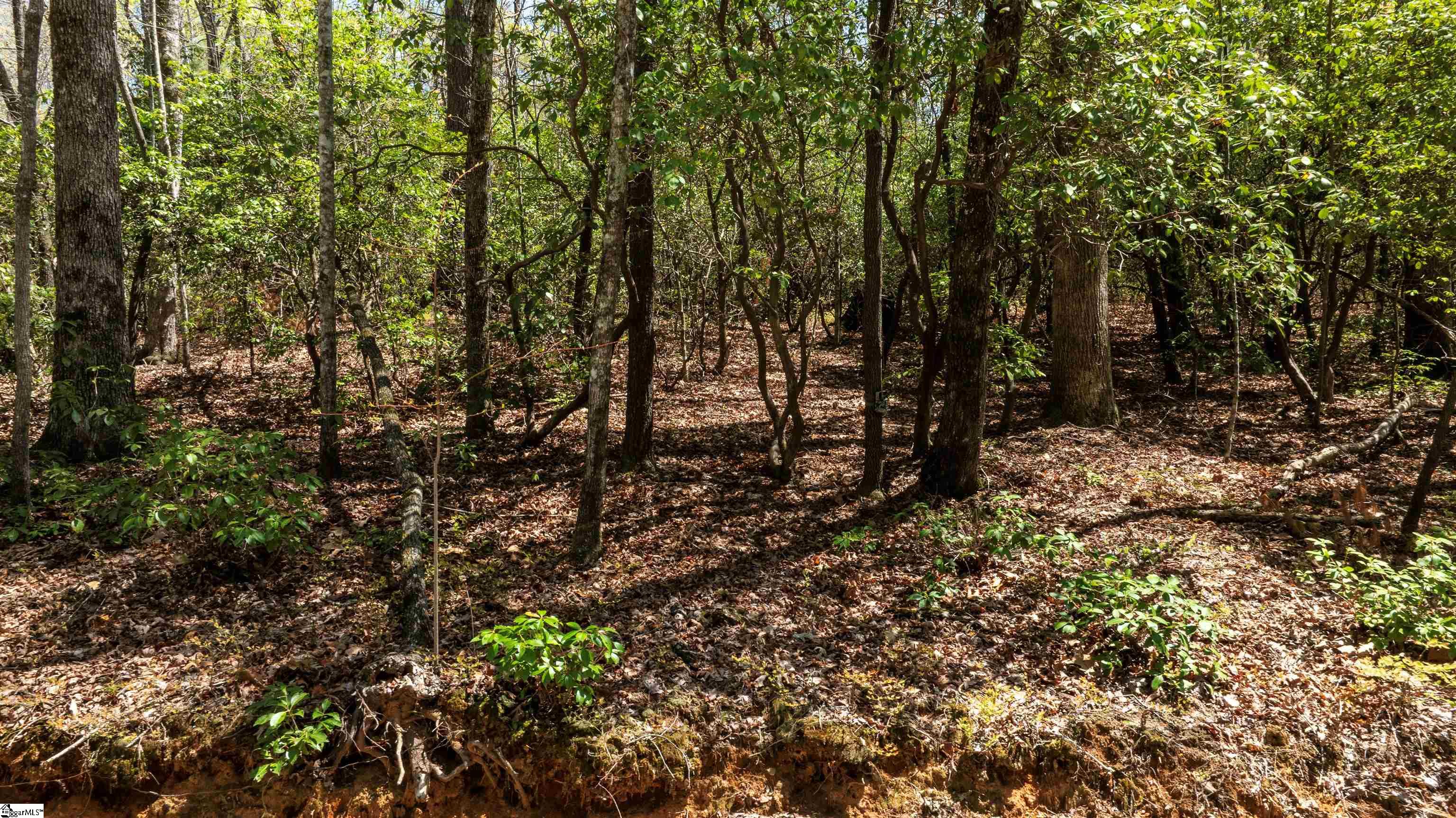 00 Old Turnpike Road Mountain Rest, SC 29664