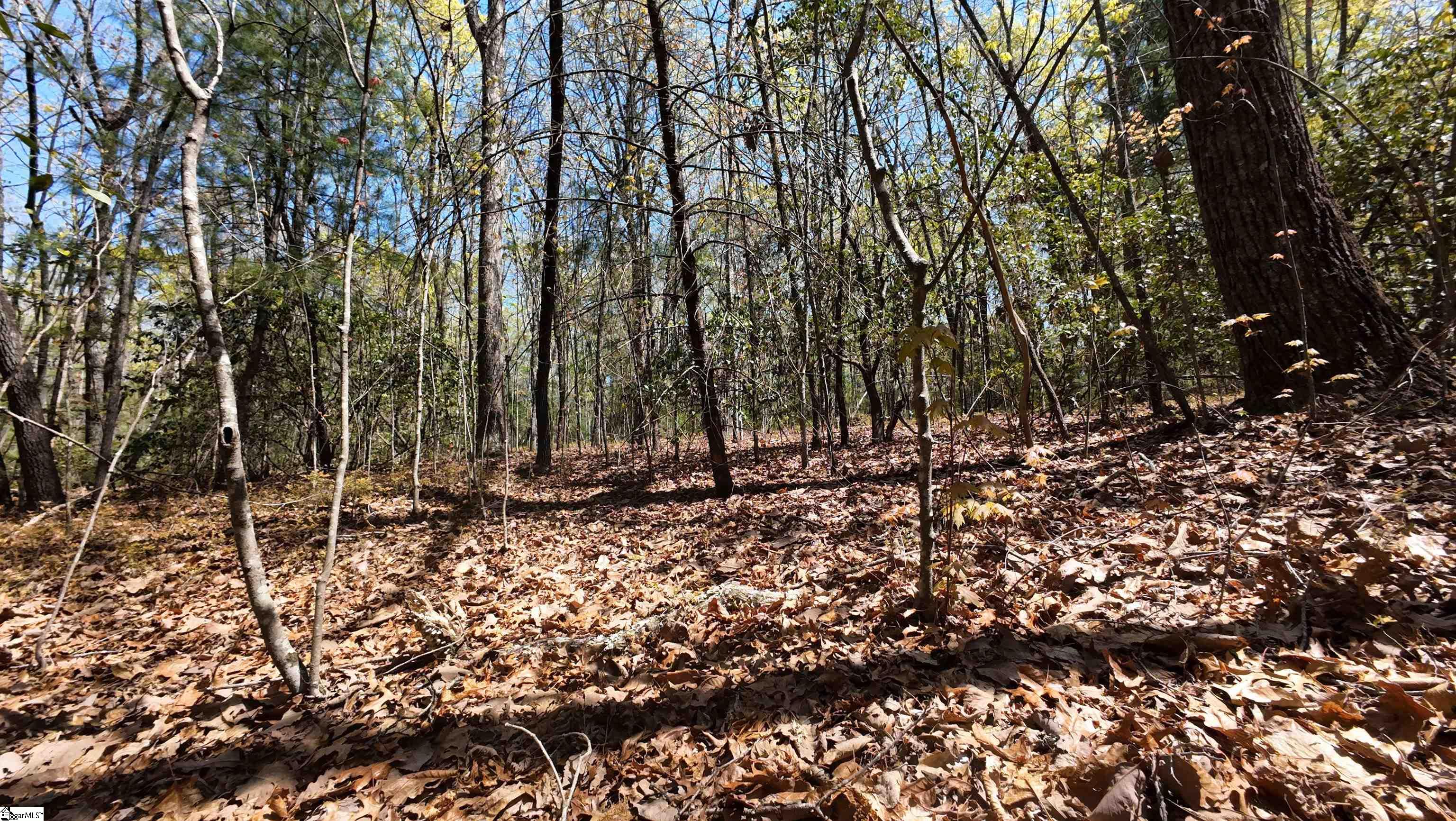 00 Old Turnpike Road Mountain Rest, SC 29664