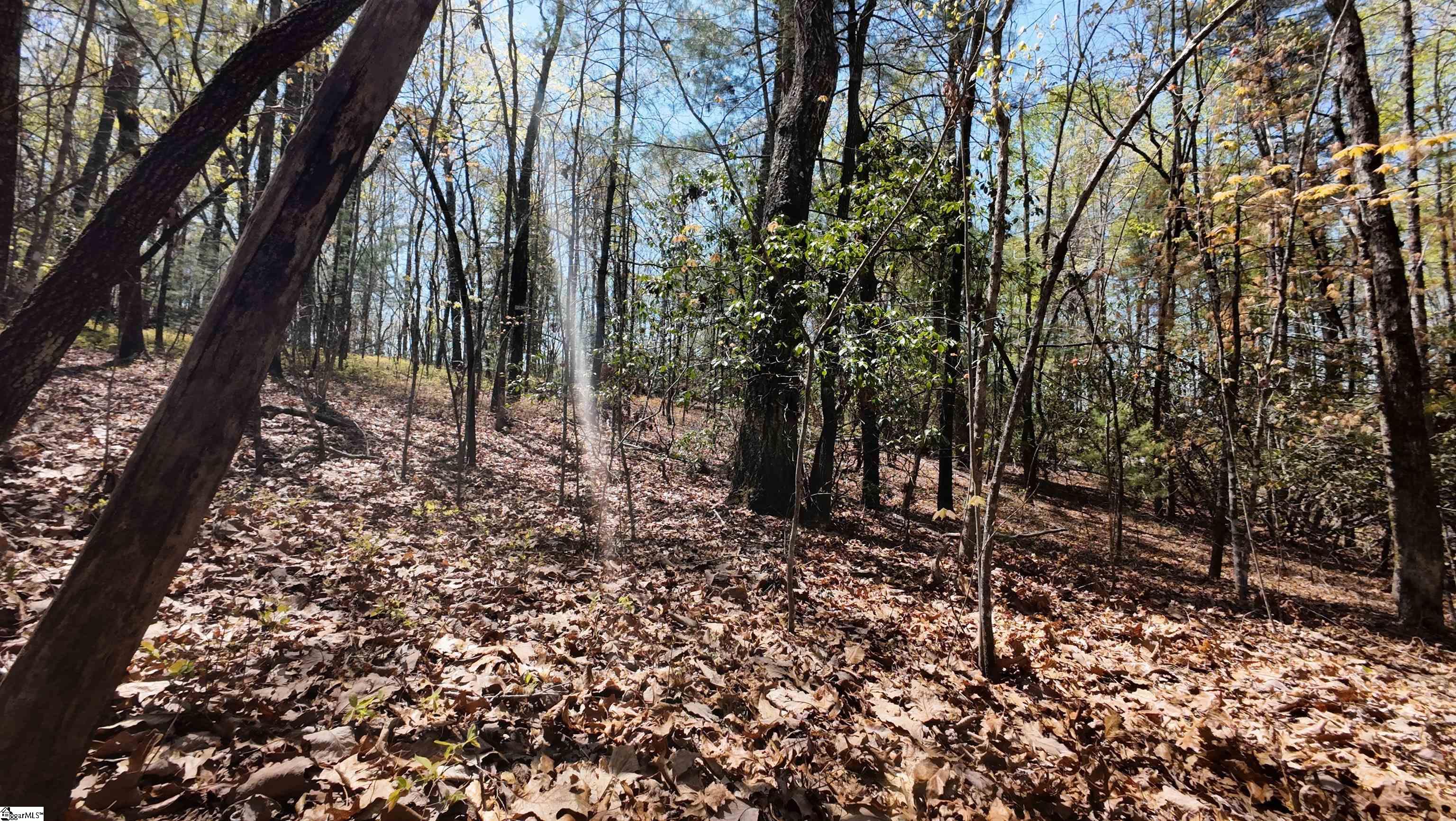 00 Old Turnpike Road Mountain Rest, SC 29664