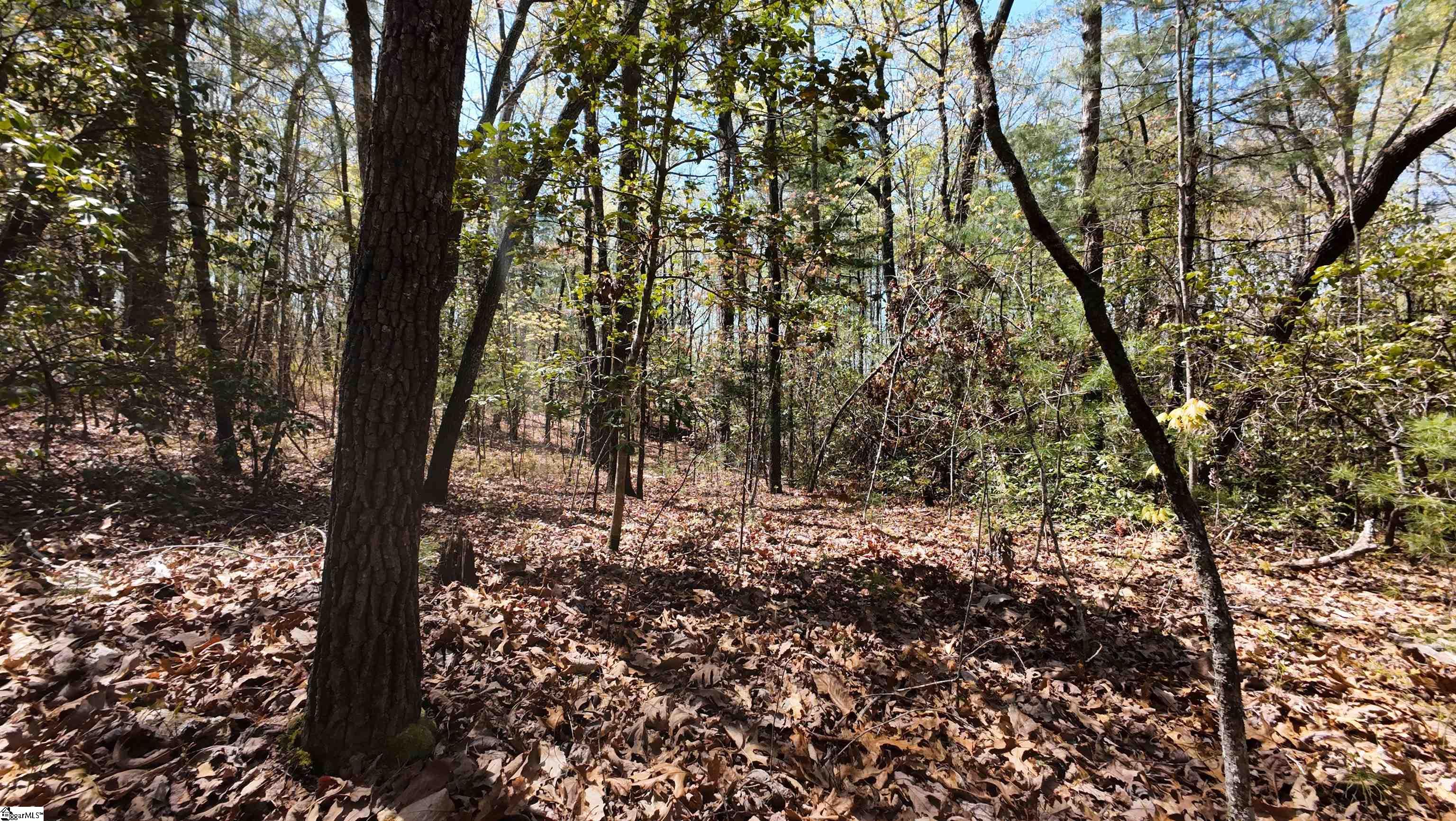 00 Old Turnpike Road Mountain Rest, SC 29664