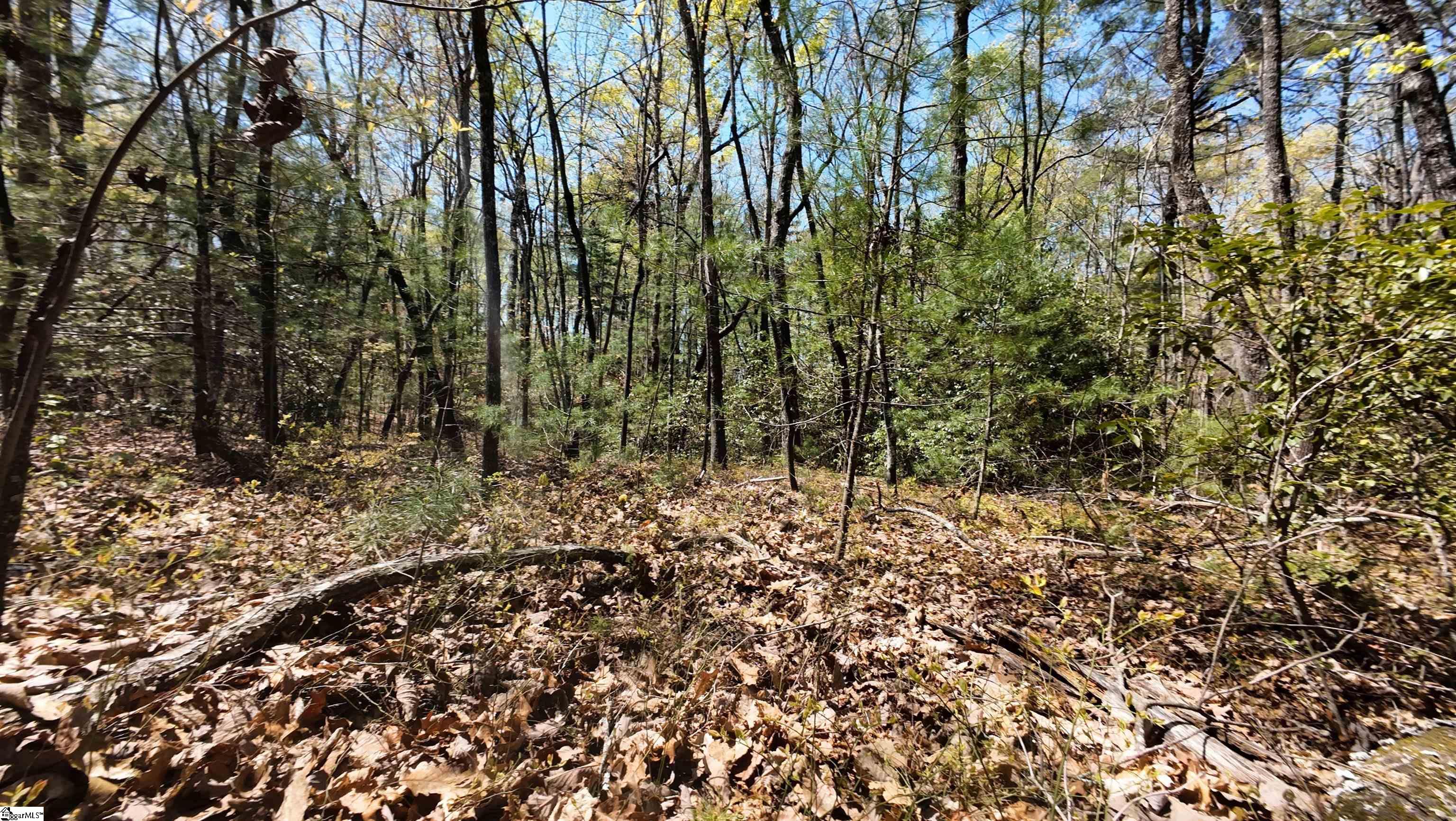 00 Old Turnpike Road Mountain Rest, SC 29664