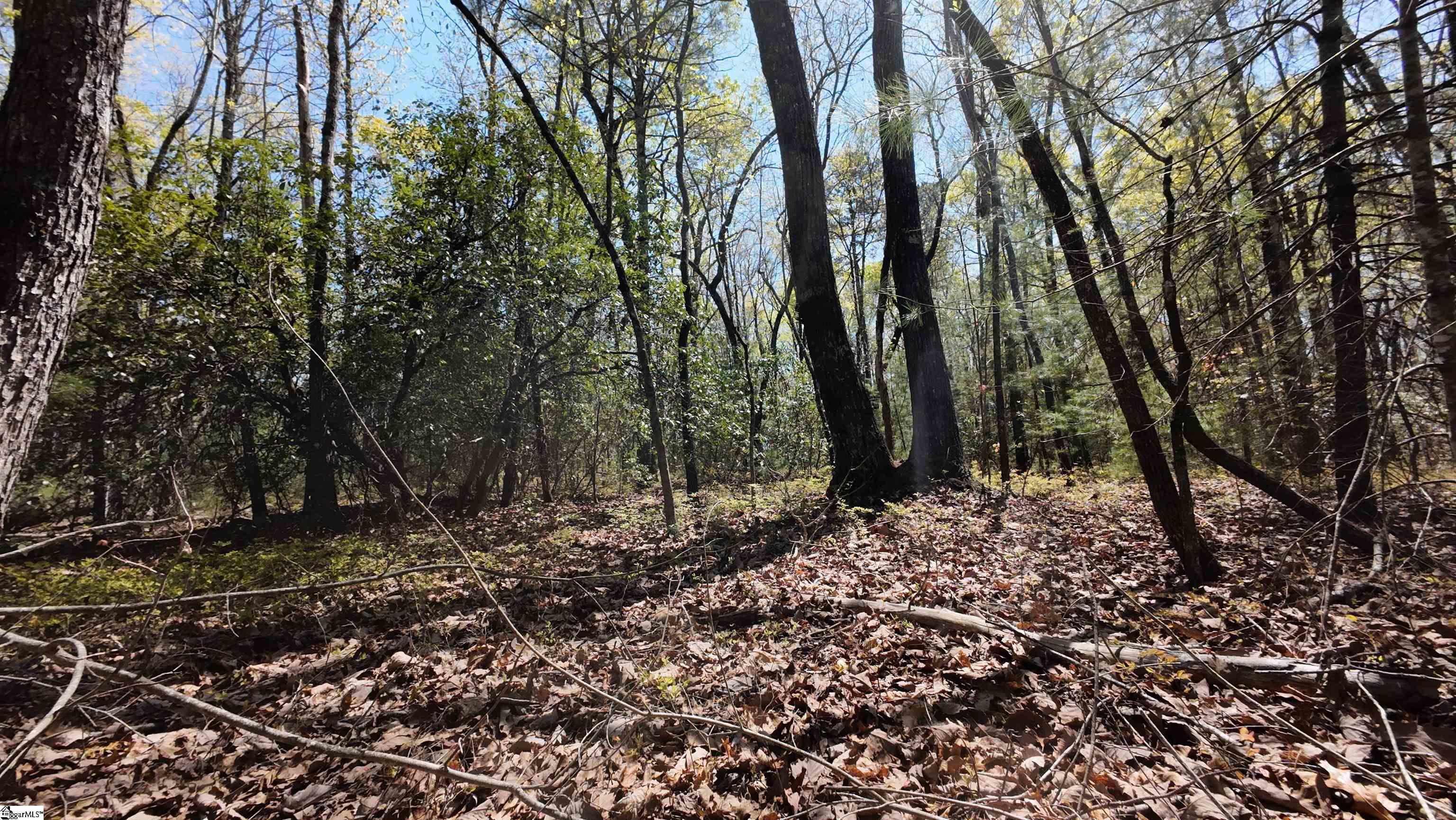 00 Old Turnpike Road Mountain Rest, SC 29664