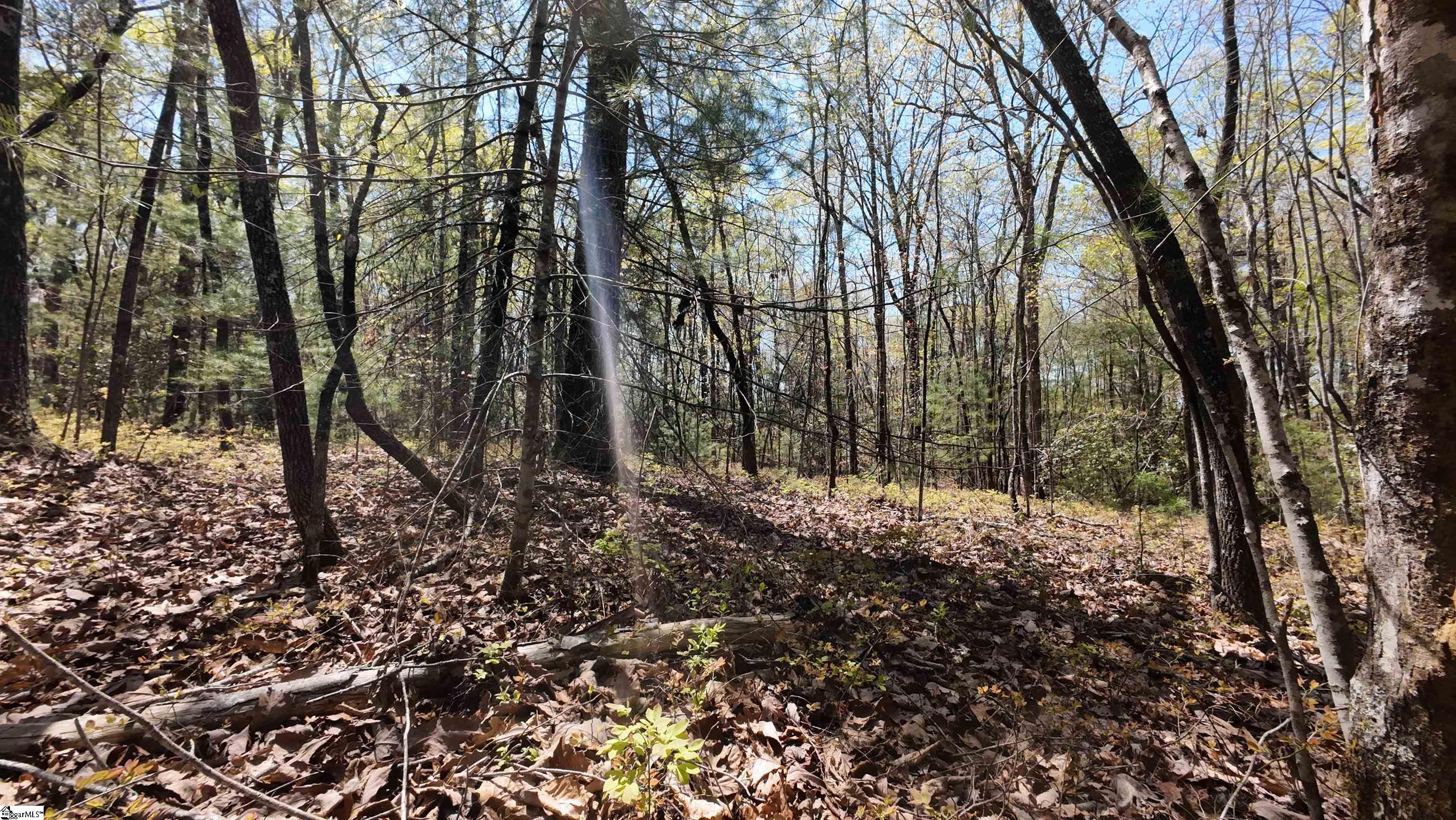 00 Old Turnpike Road Mountain Rest, SC 29664