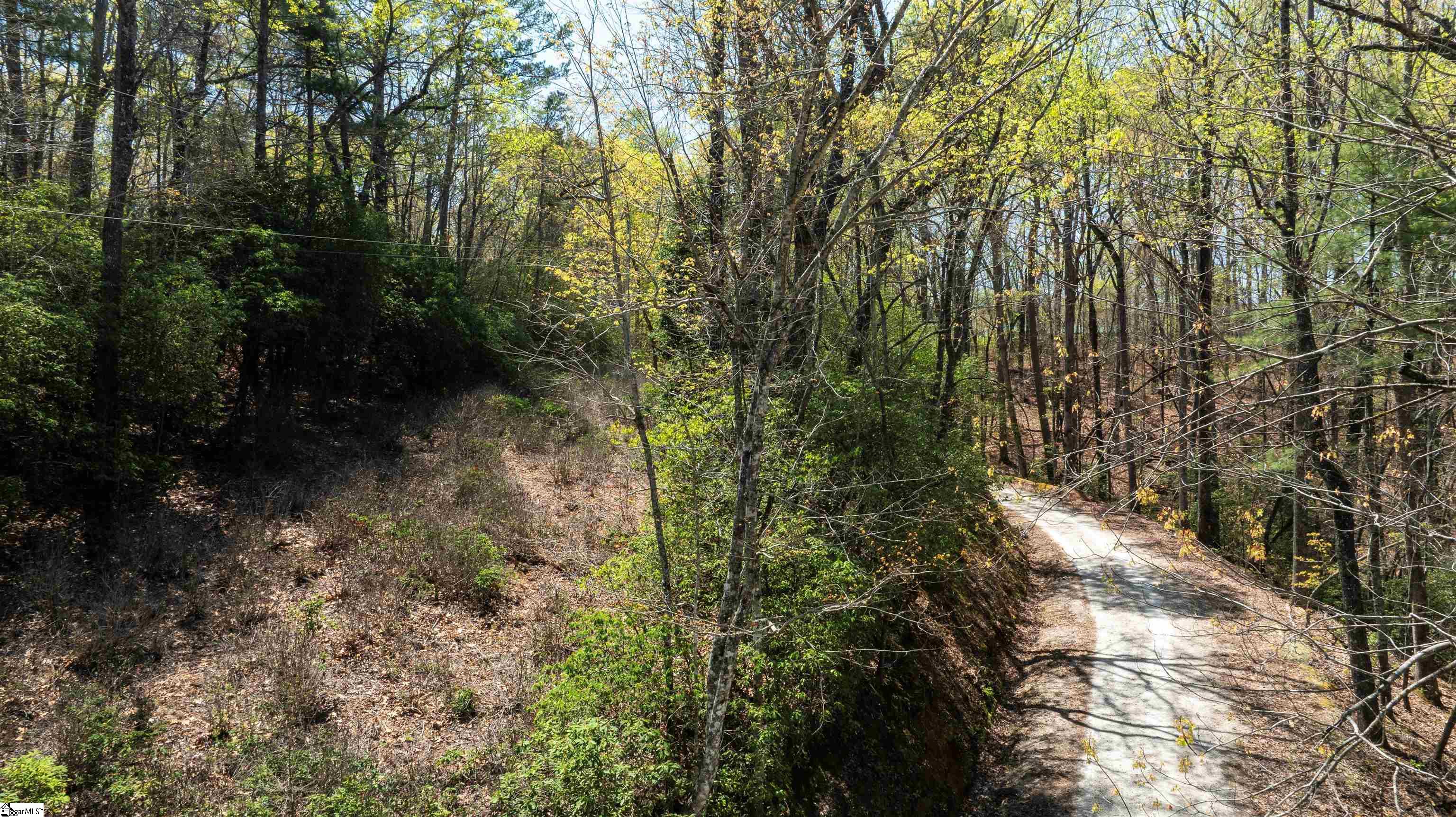 00 Old Turnpike Road Mountain Rest, SC 29664