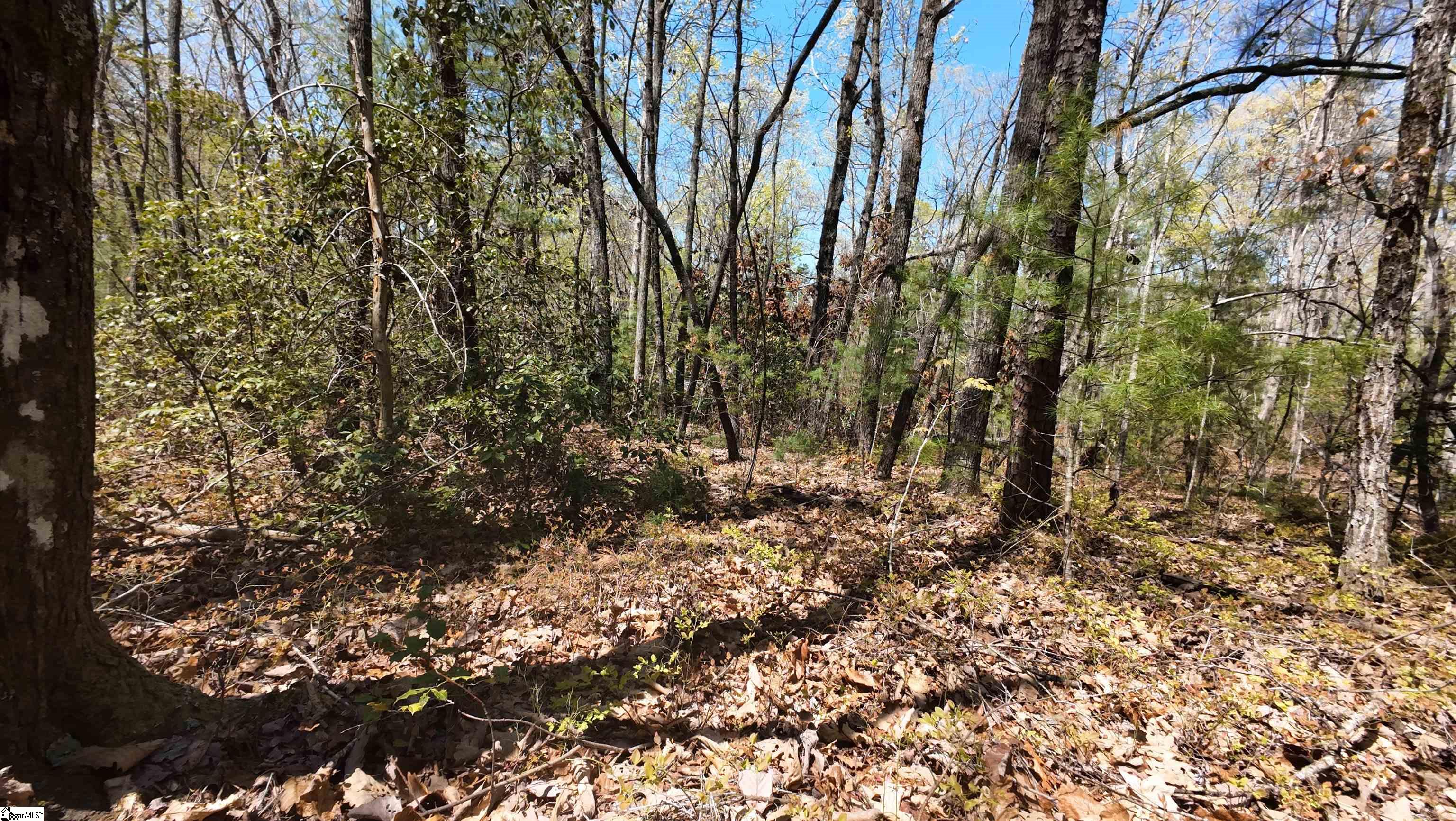 00 Old Turnpike Road Mountain Rest, SC 29664