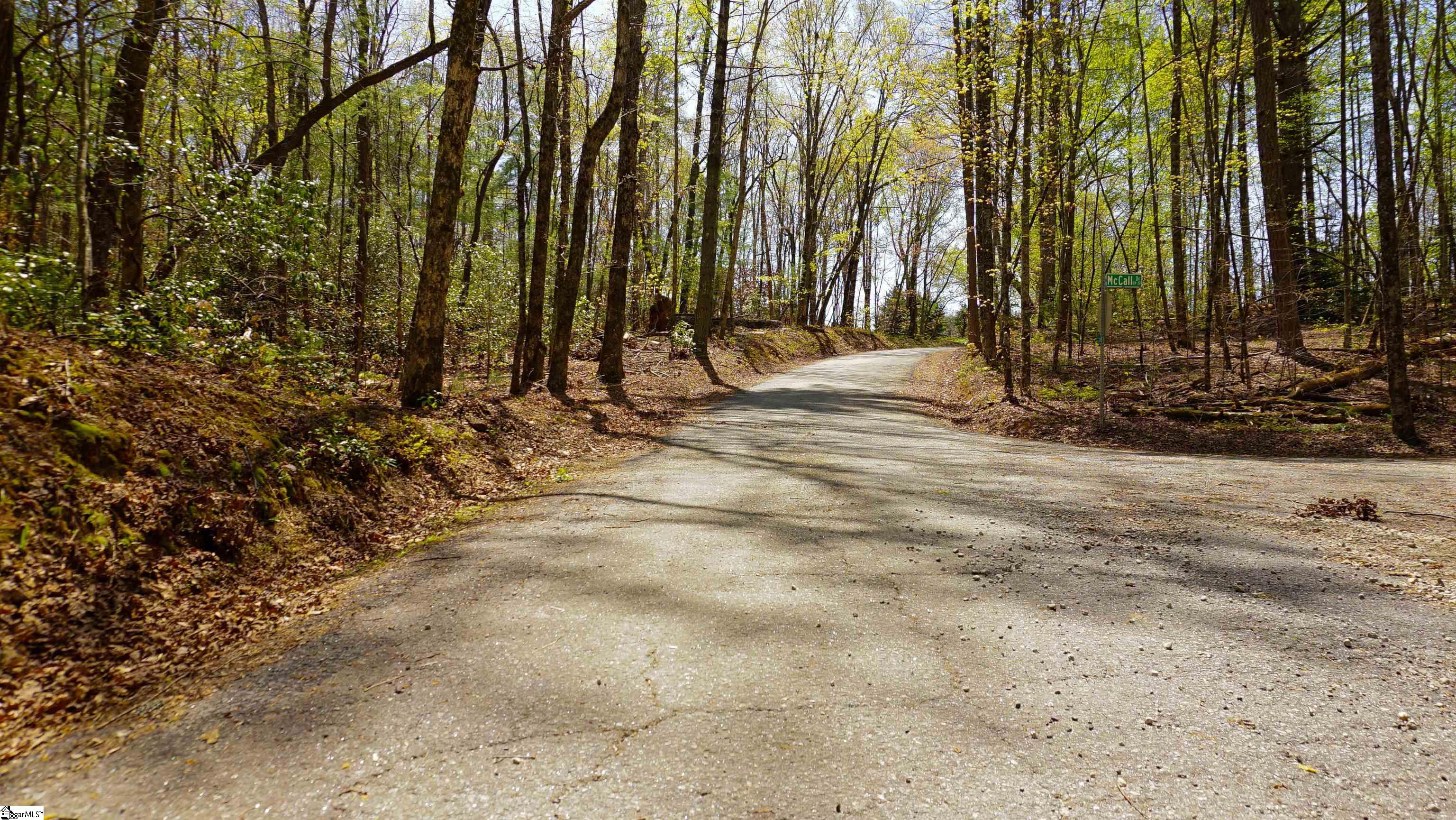 00 Old Turnpike Road Mountain Rest, SC 29664