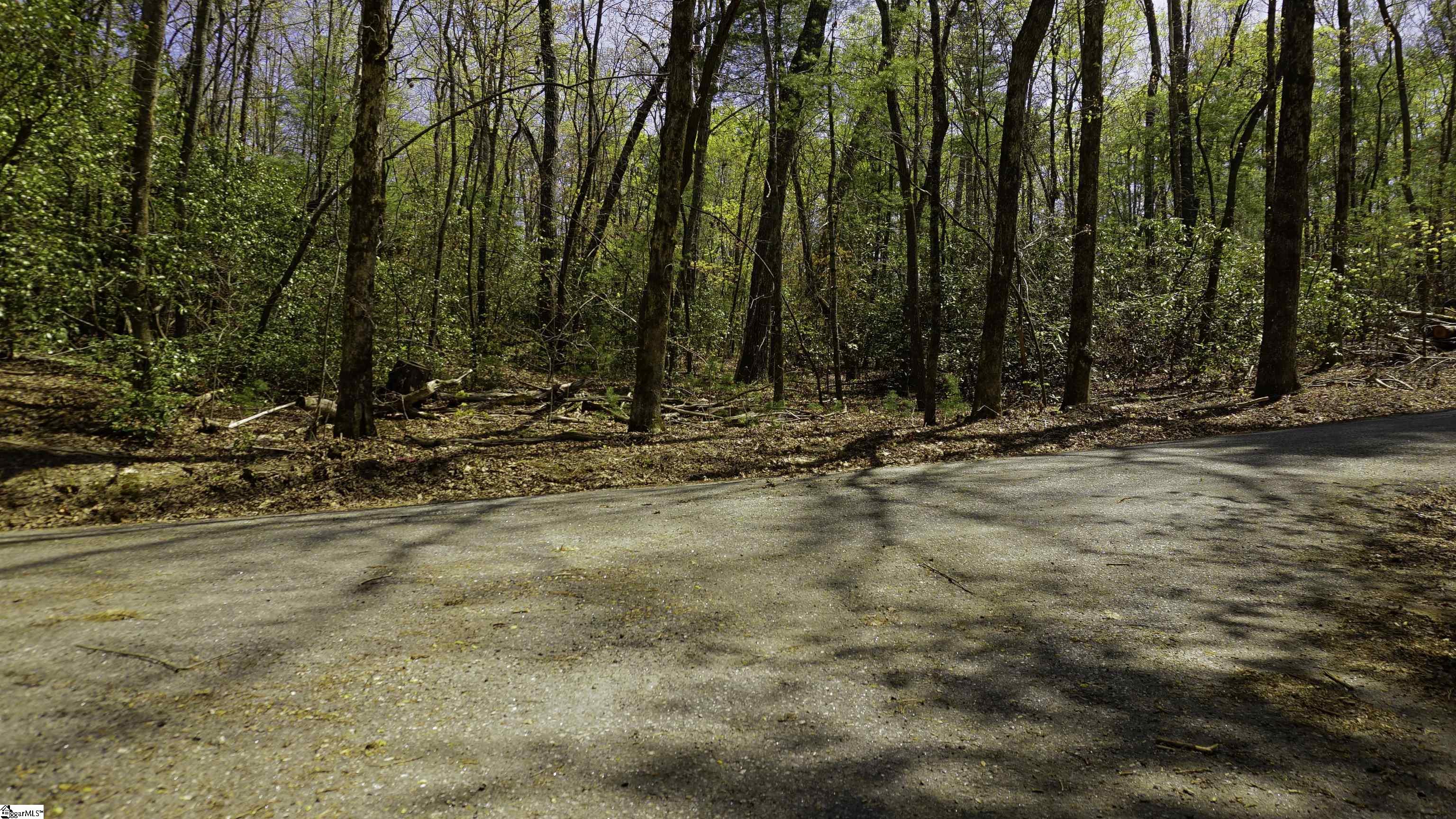 00 Old Turnpike Road Mountain Rest, SC 29664