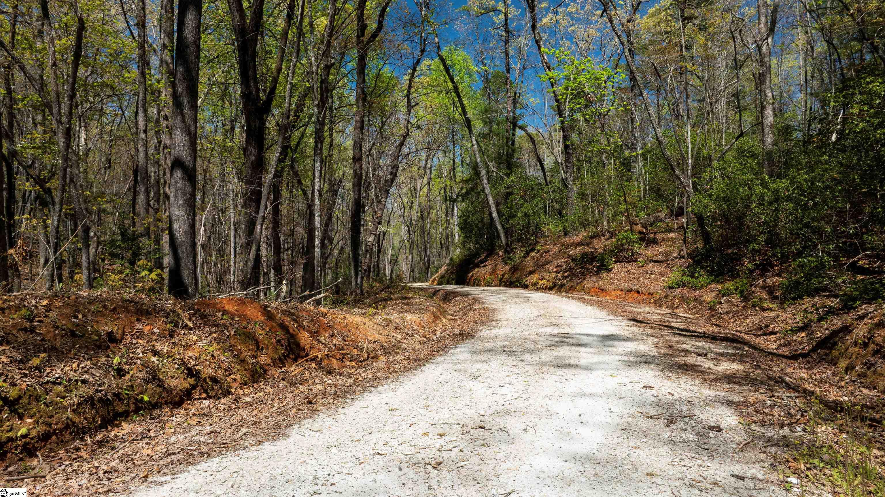 00 Old Turnpike Road Mountain Rest, SC 29664