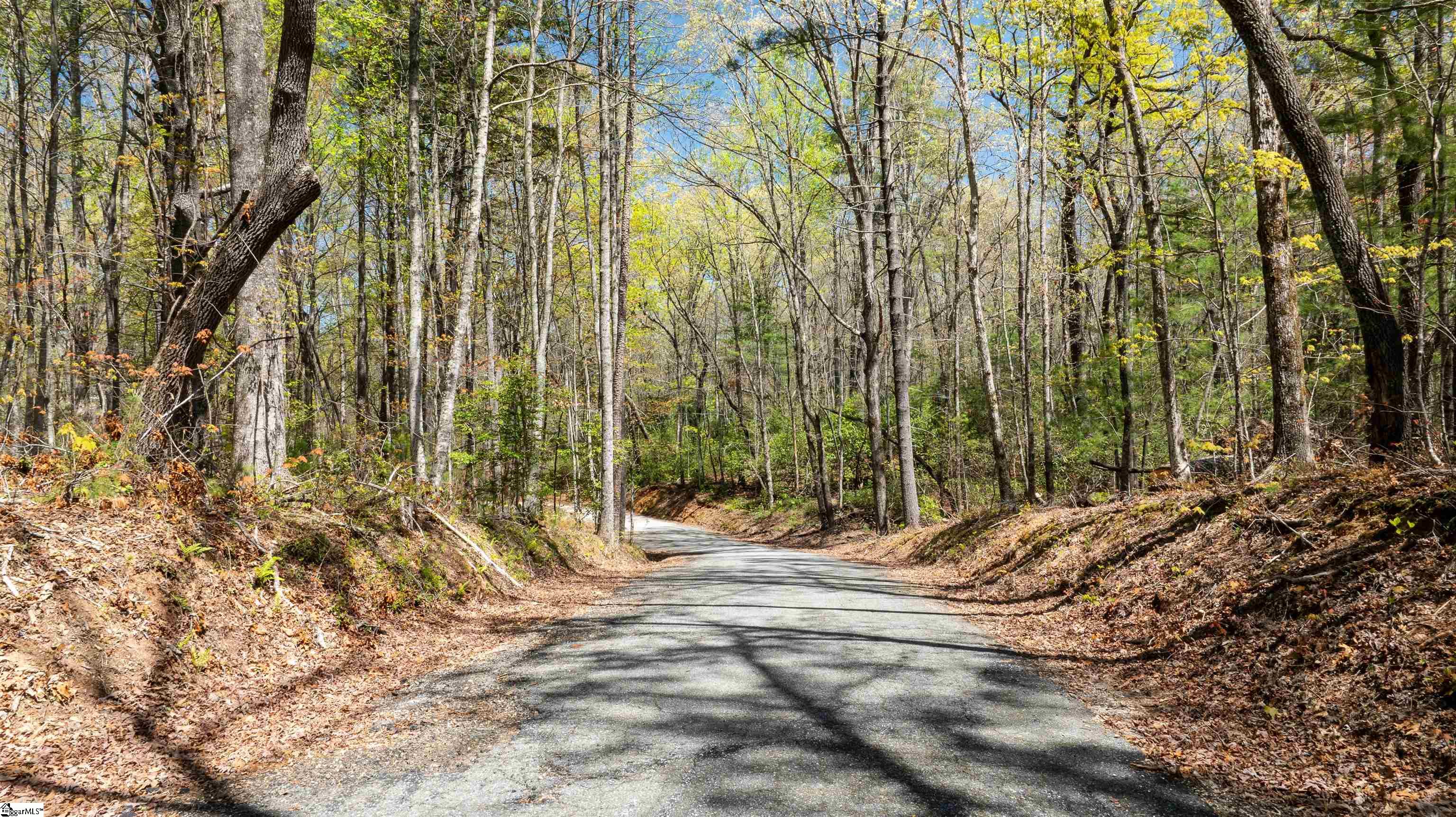 00 Old Turnpike Road Mountain Rest, SC 29664