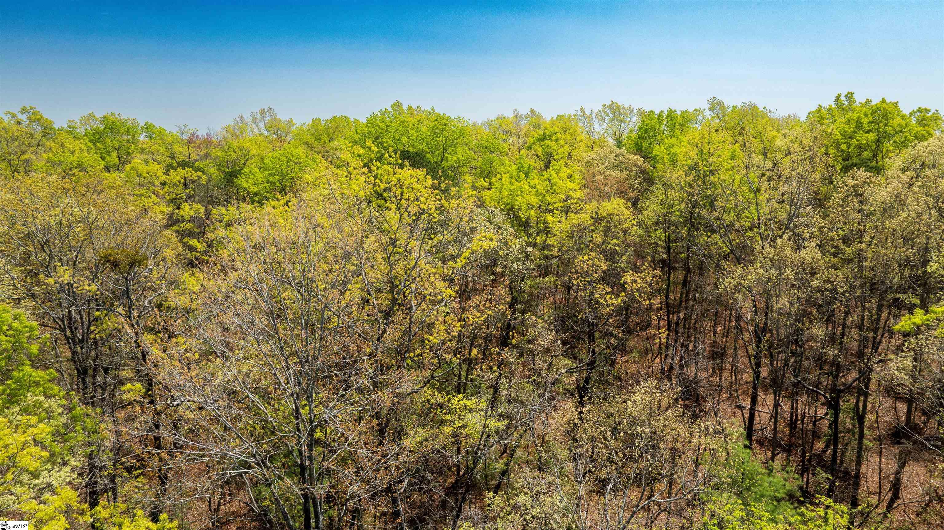 00 Old Turnpike Road Mountain Rest, SC 29664
