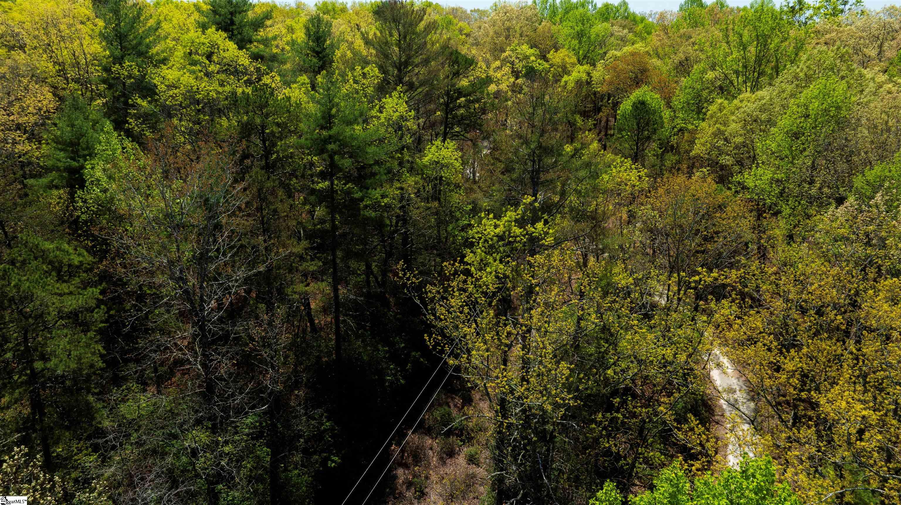 00 Old Turnpike Road Mountain Rest, SC 29664