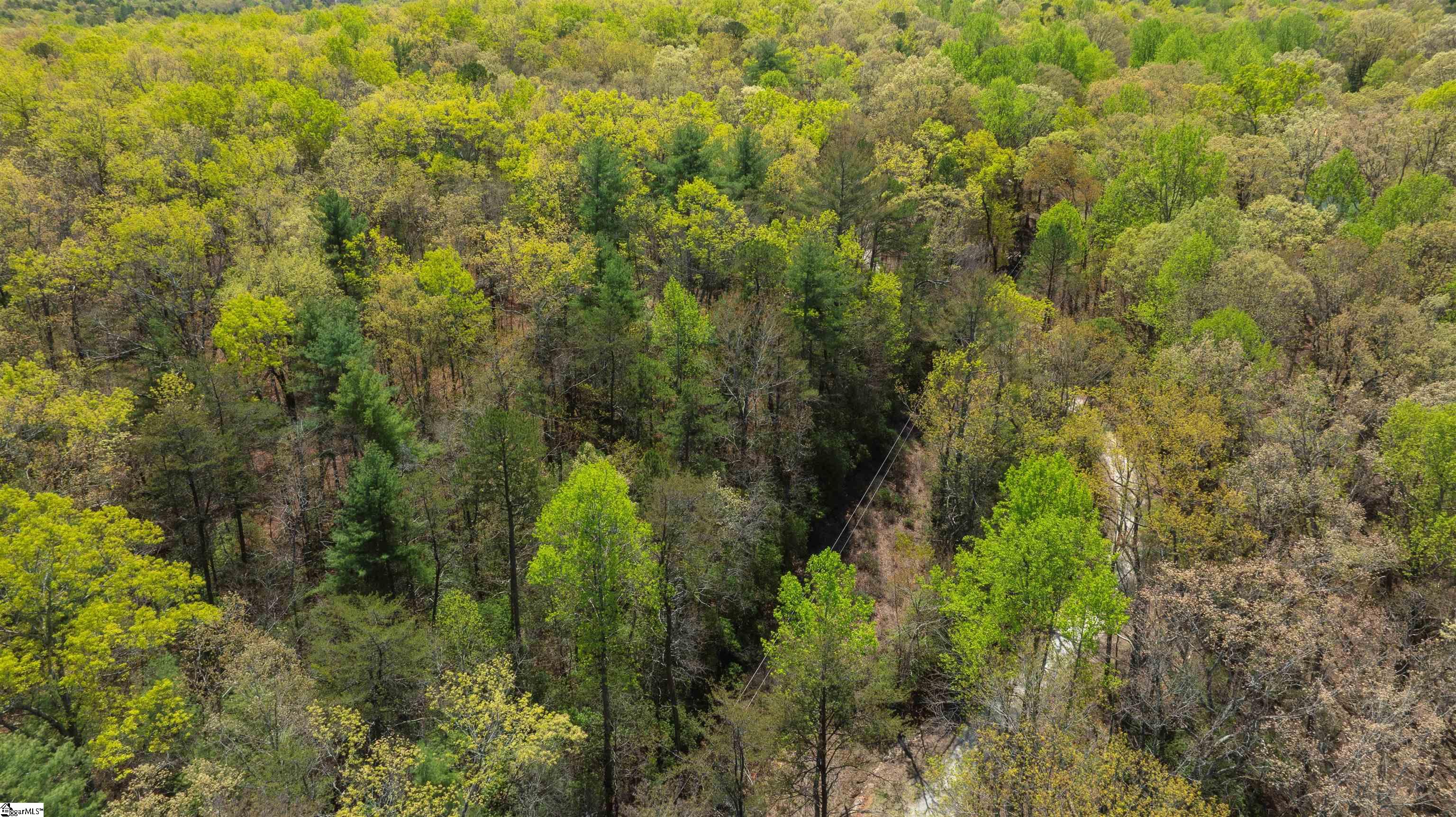 00 Old Turnpike Road Mountain Rest, SC 29664