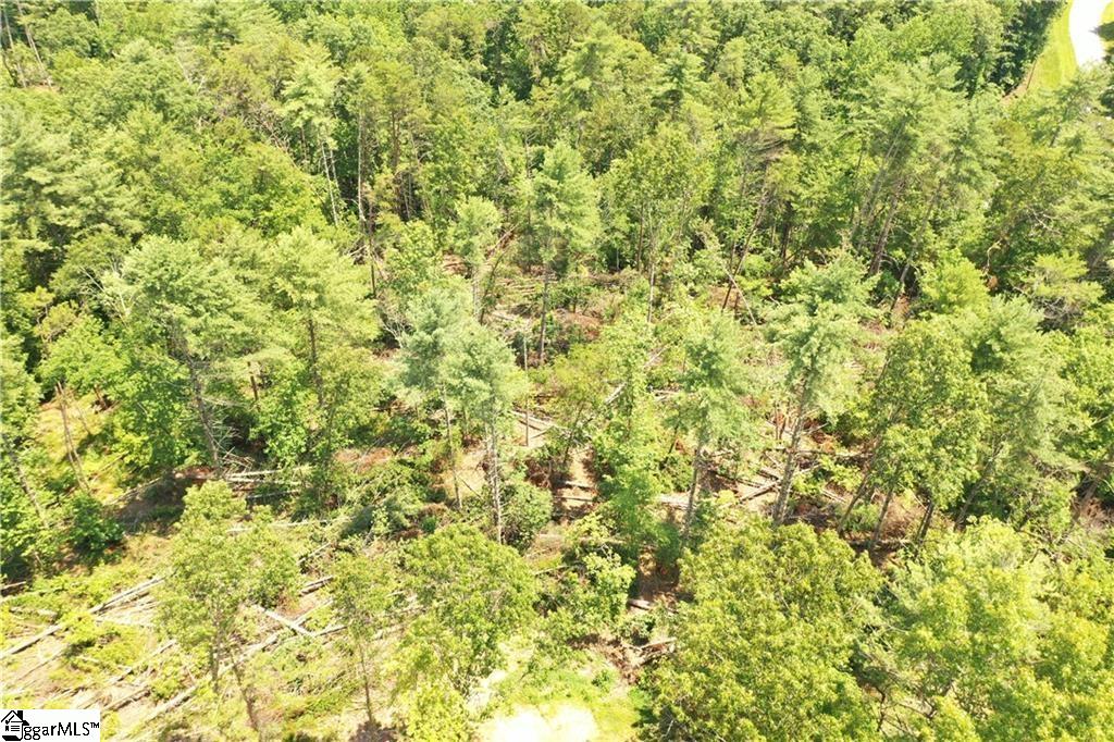 113 Sweetshrub Court Sunset, SC 29685