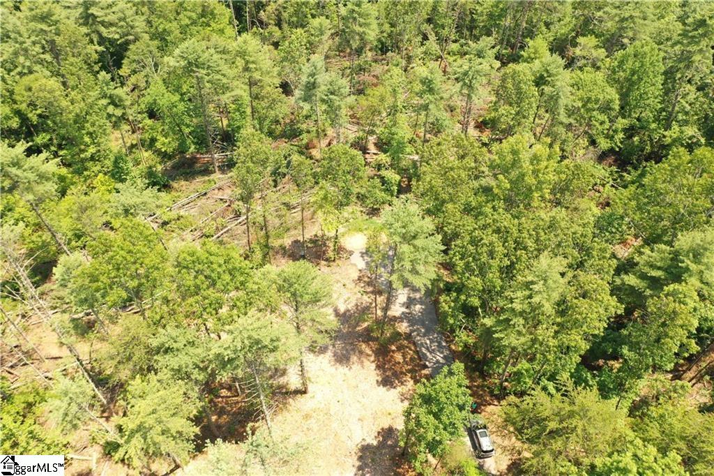 113 Sweetshrub Court Sunset, SC 29685