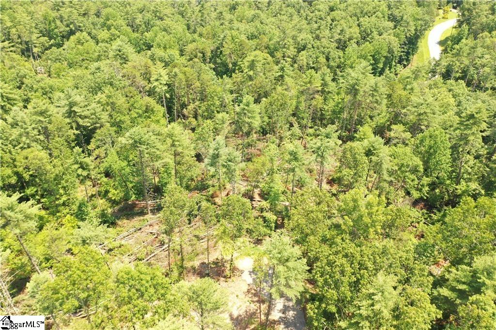 113 Sweetshrub Court Sunset, SC 29685