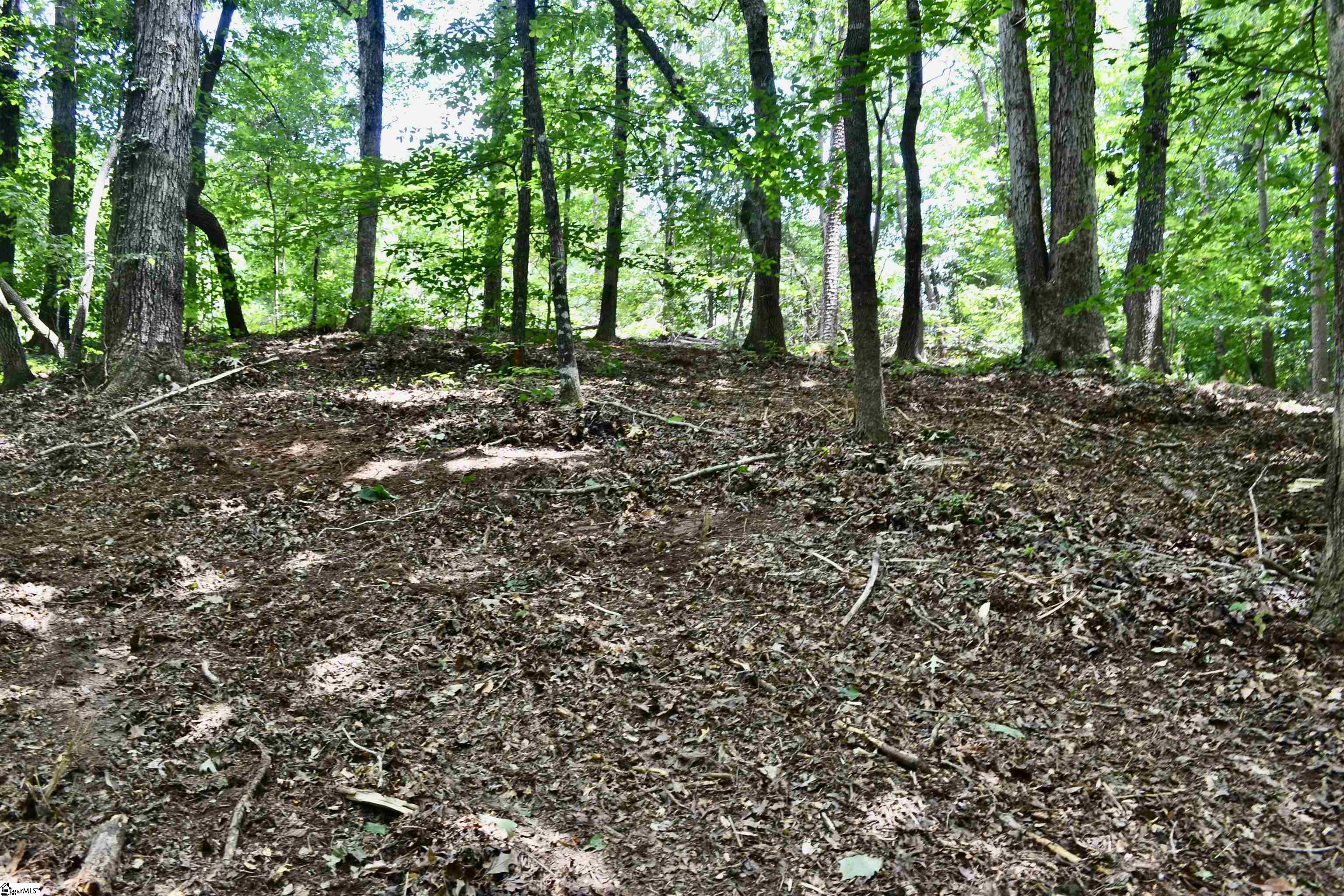 000 Cane Creek Drive Seneca, SC 29672