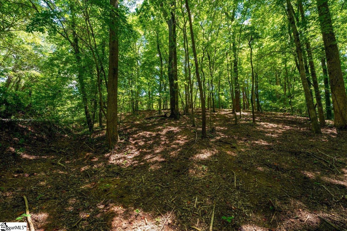 000 Cane Creek Drive Seneca, SC 29672