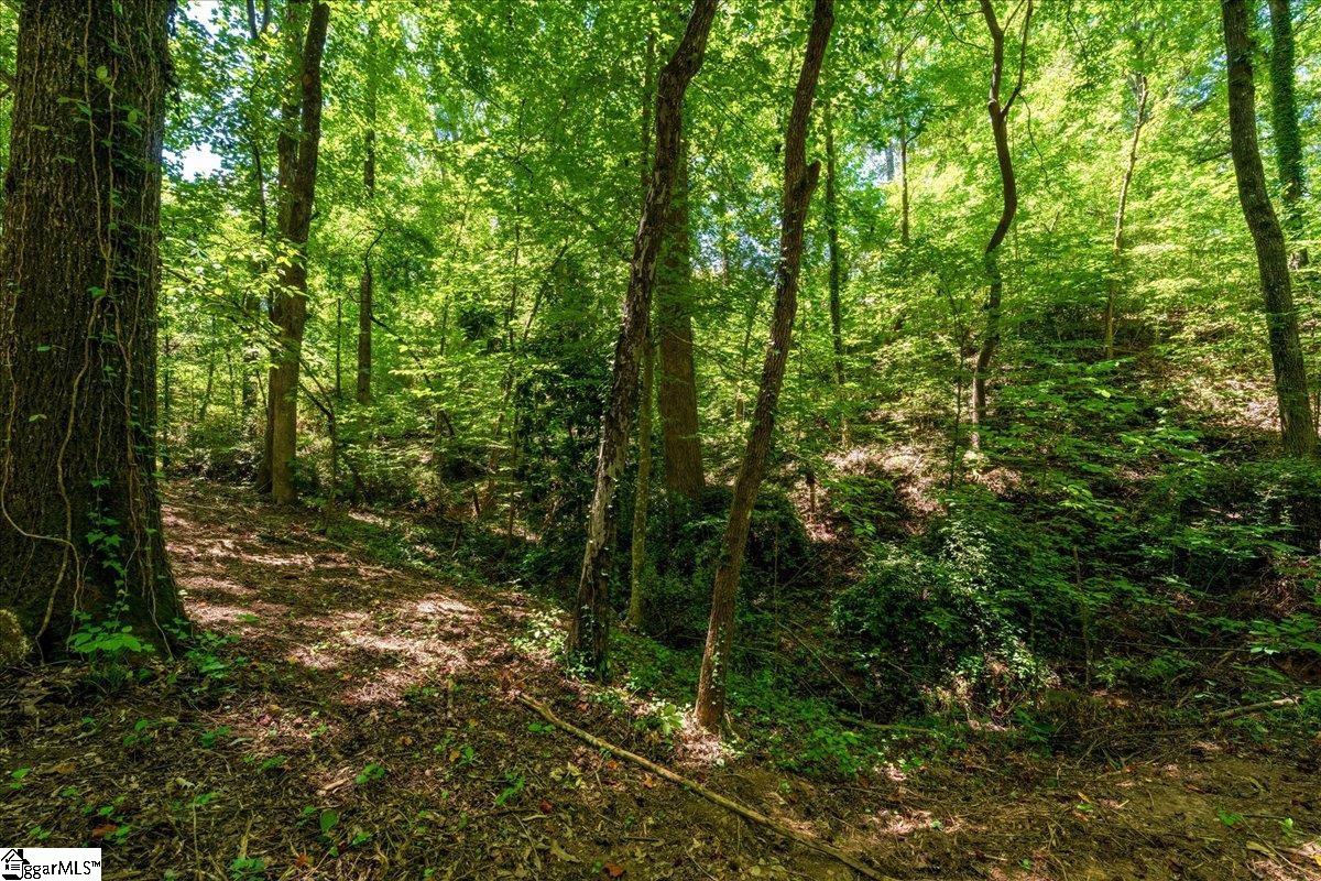 000 Cane Creek Drive Seneca, SC 29672