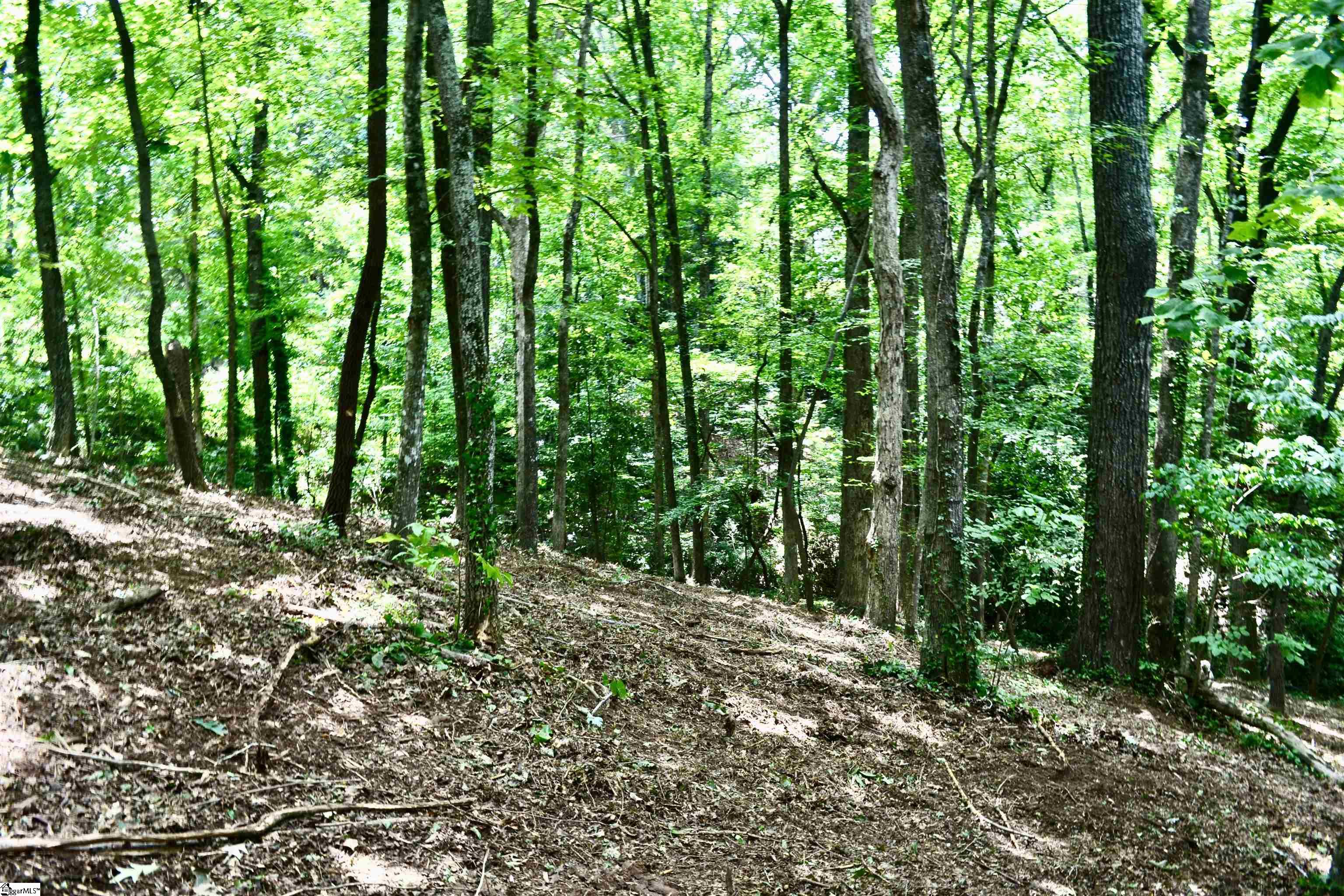 000 Cane Creek Drive Seneca, SC 29672