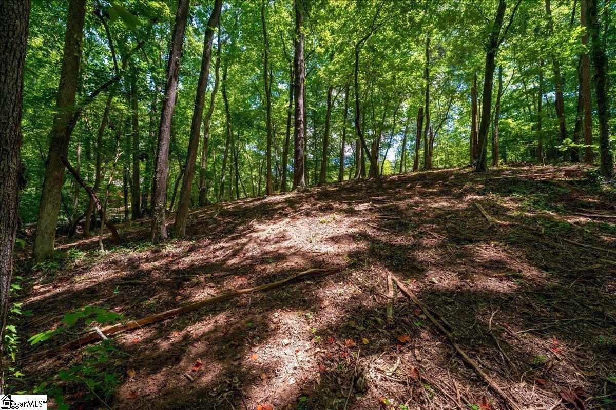 000 Cane Creek Drive Seneca, SC 29672