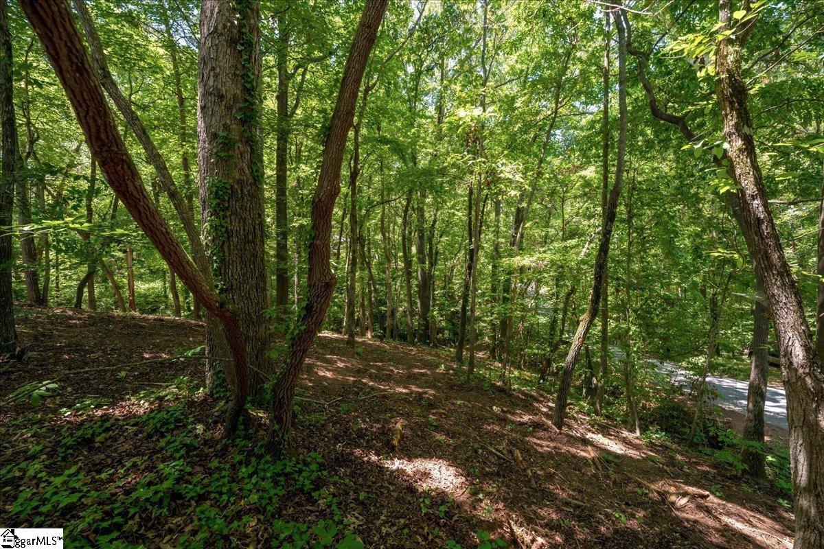 000 Cane Creek Drive Seneca, SC 29672