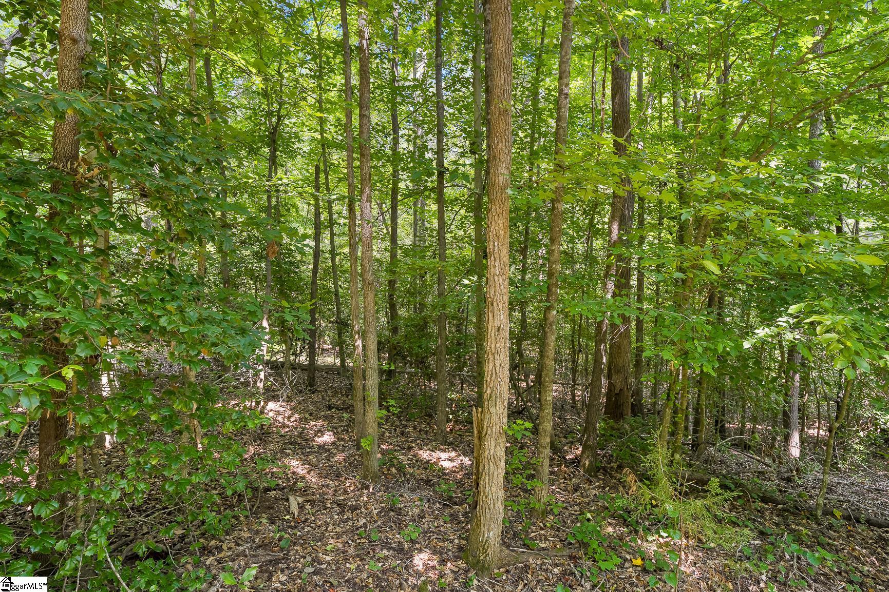 4385 Fork Shoals Road Simpsonville, SC 29680