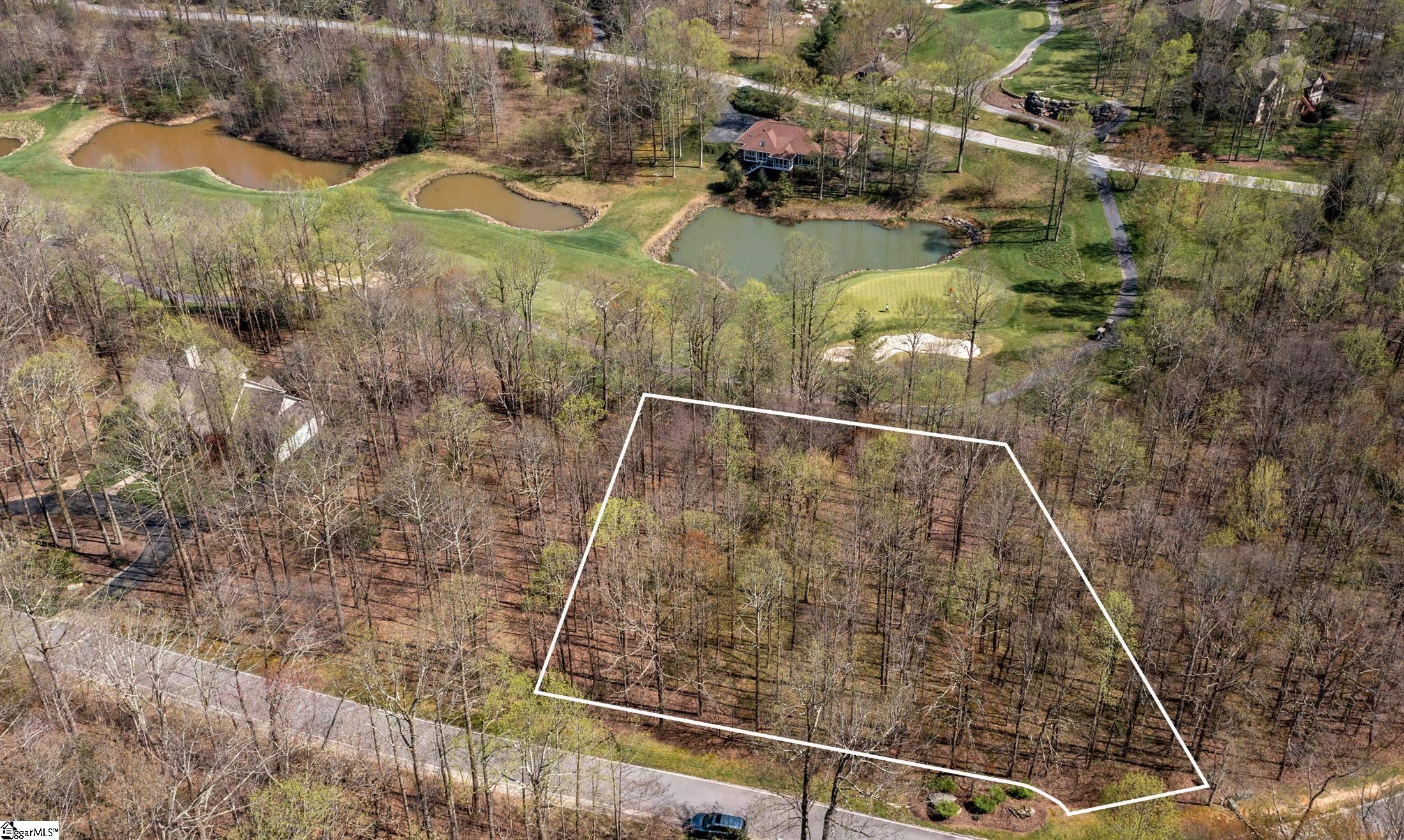 30 Snap Dragon Way Landrum, SC 29356-3329