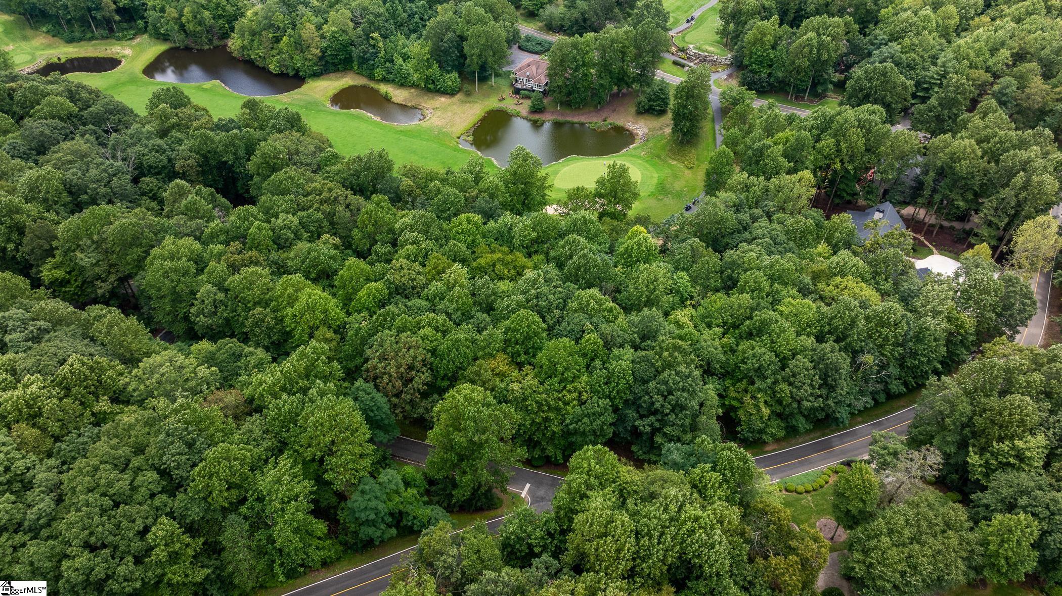 30 Snap Dragon Way Landrum, SC 29356-3329