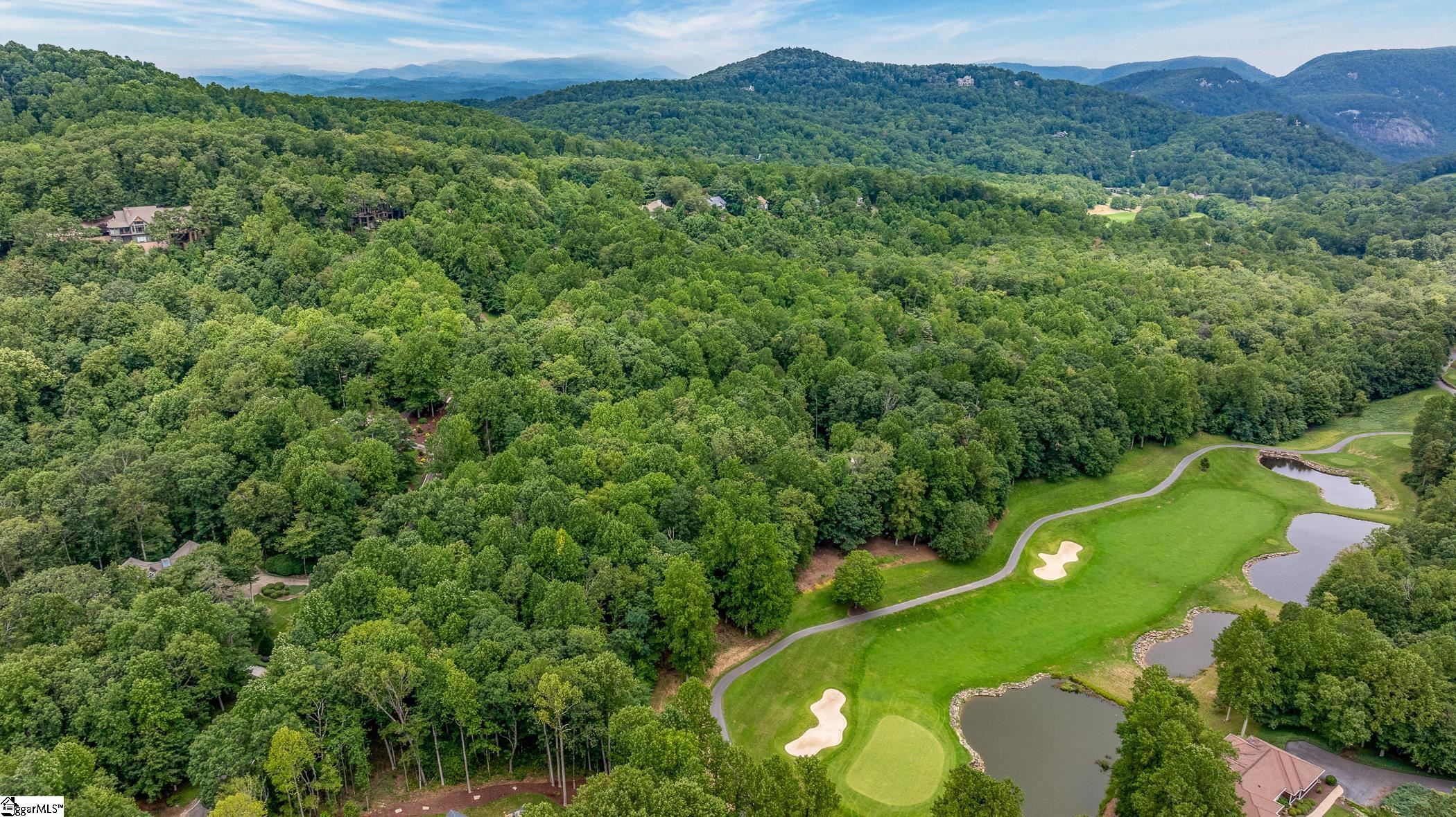30 Snap Dragon Way Landrum, SC 29356-3329