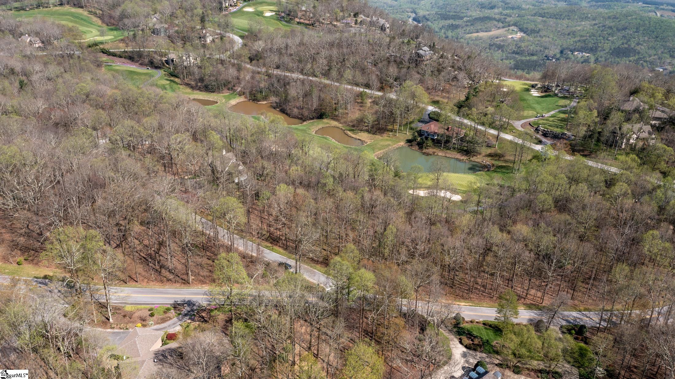 30 Snap Dragon Way Landrum, SC 29356-3329