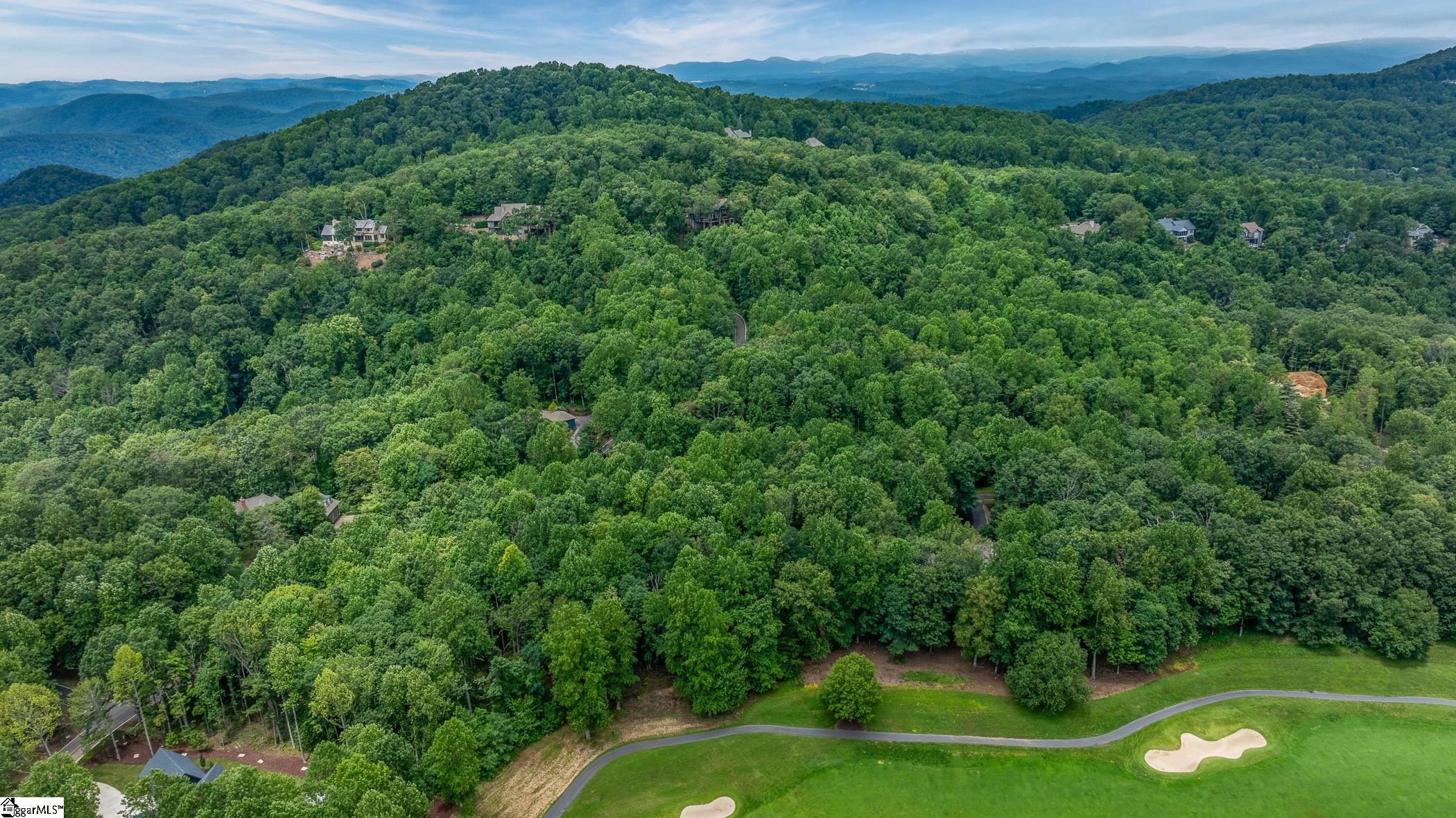 30 Snap Dragon Way Landrum, SC 29356-3329