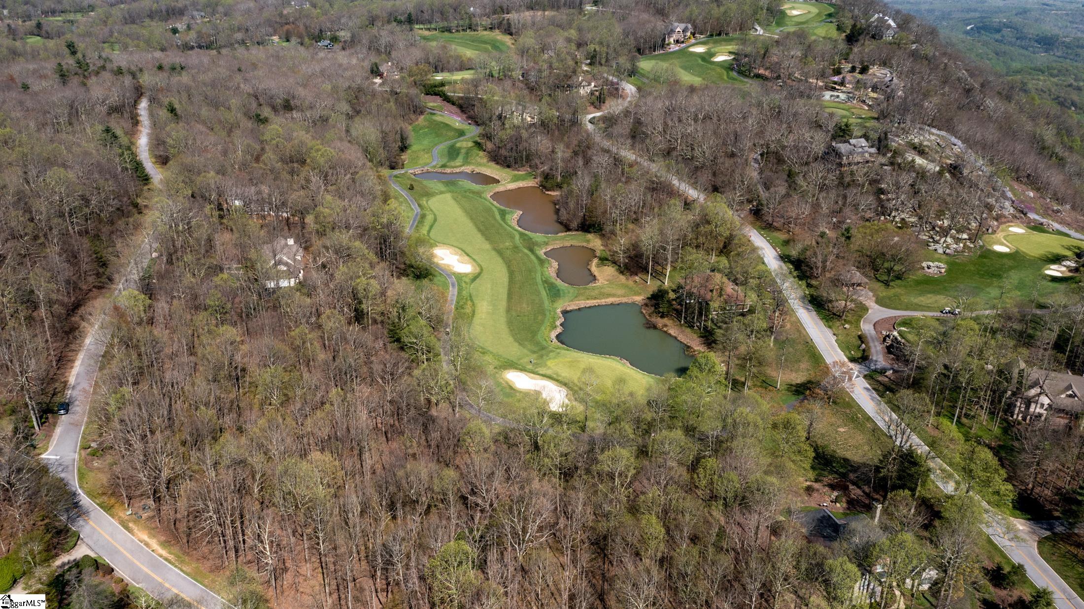 30 Snap Dragon Way Landrum, SC 29356-3329